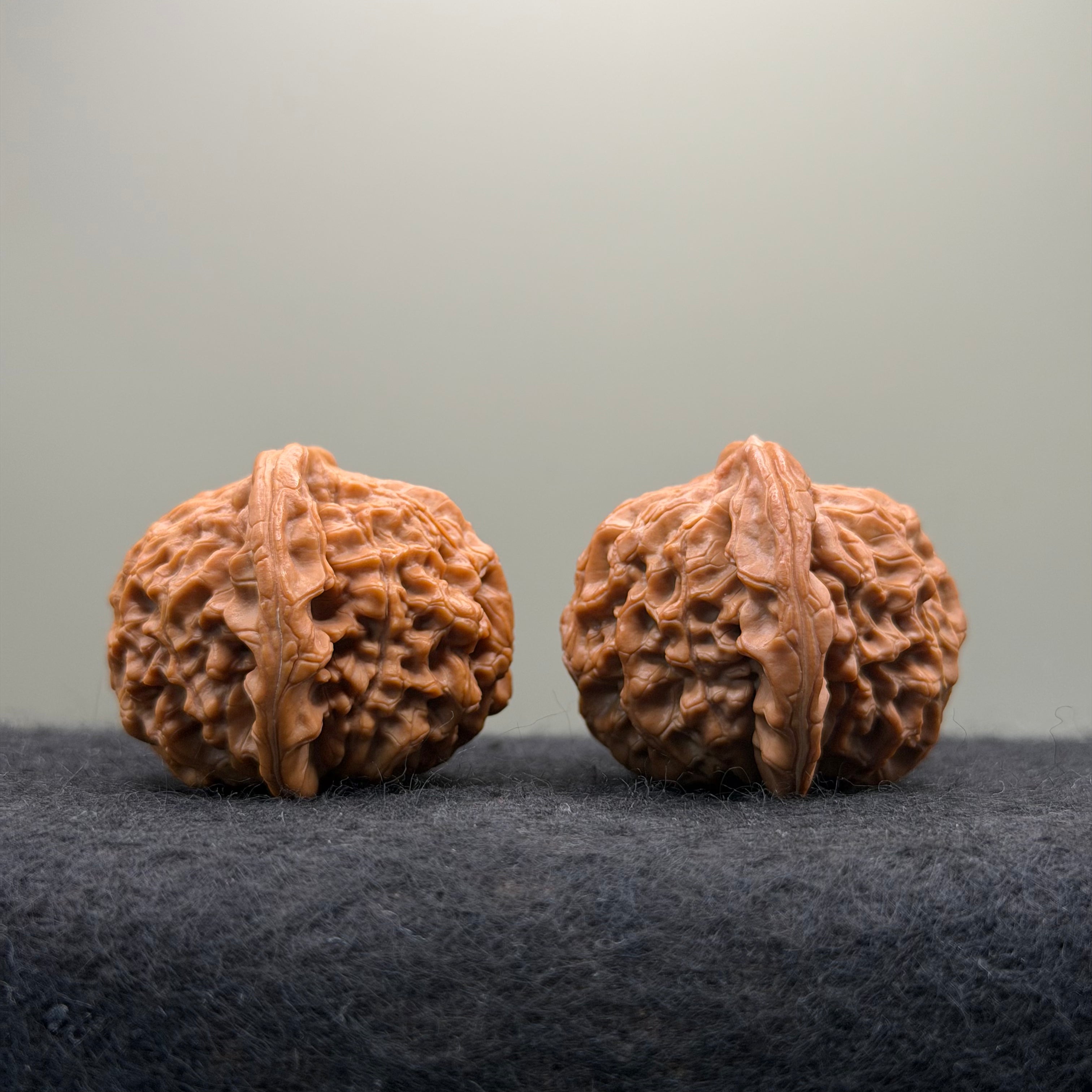 'Walnut King' Wenwan Walnut · 40mm · Collector Ritual
