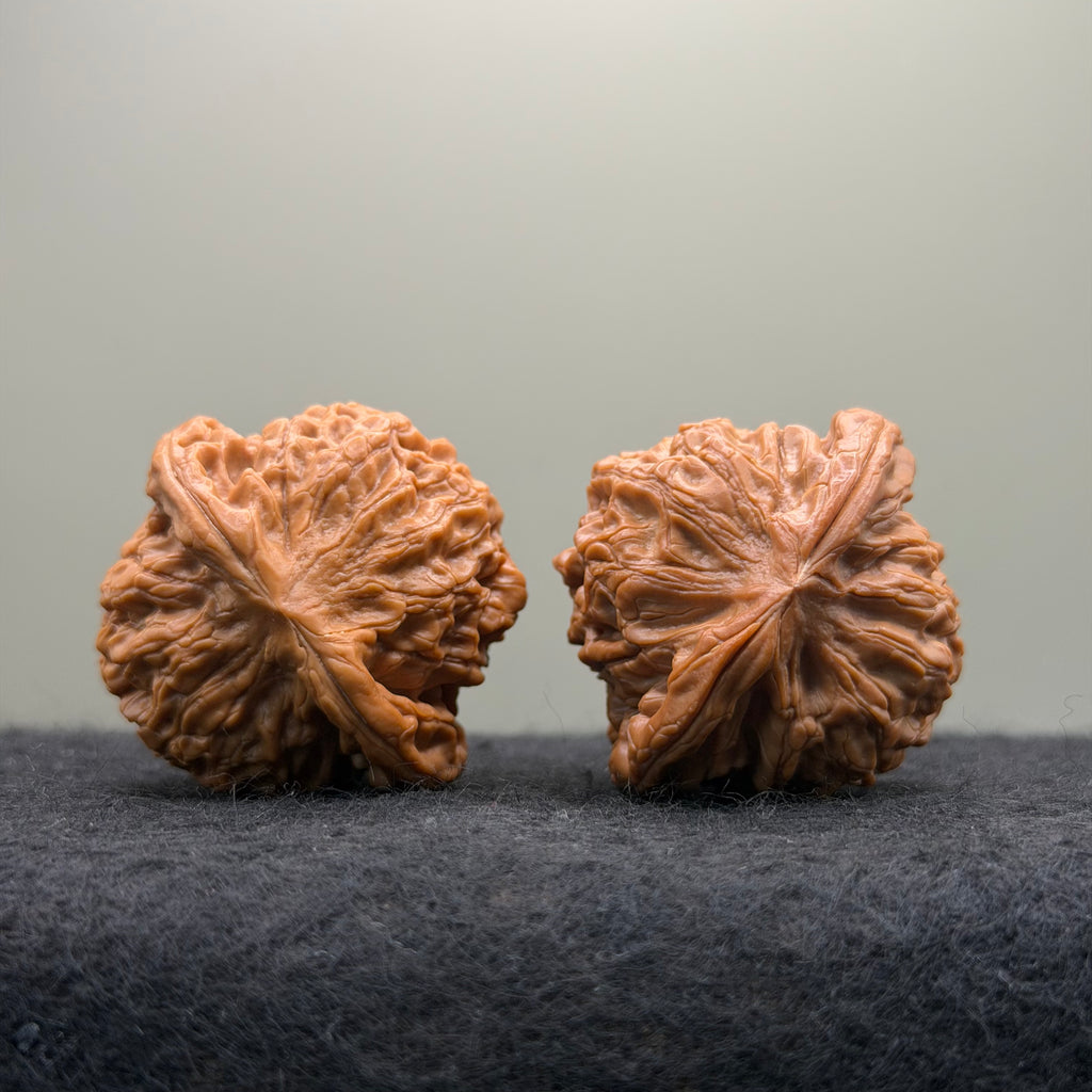'Walnut King' Wenwan Walnut · 40mm · Collector Ritual