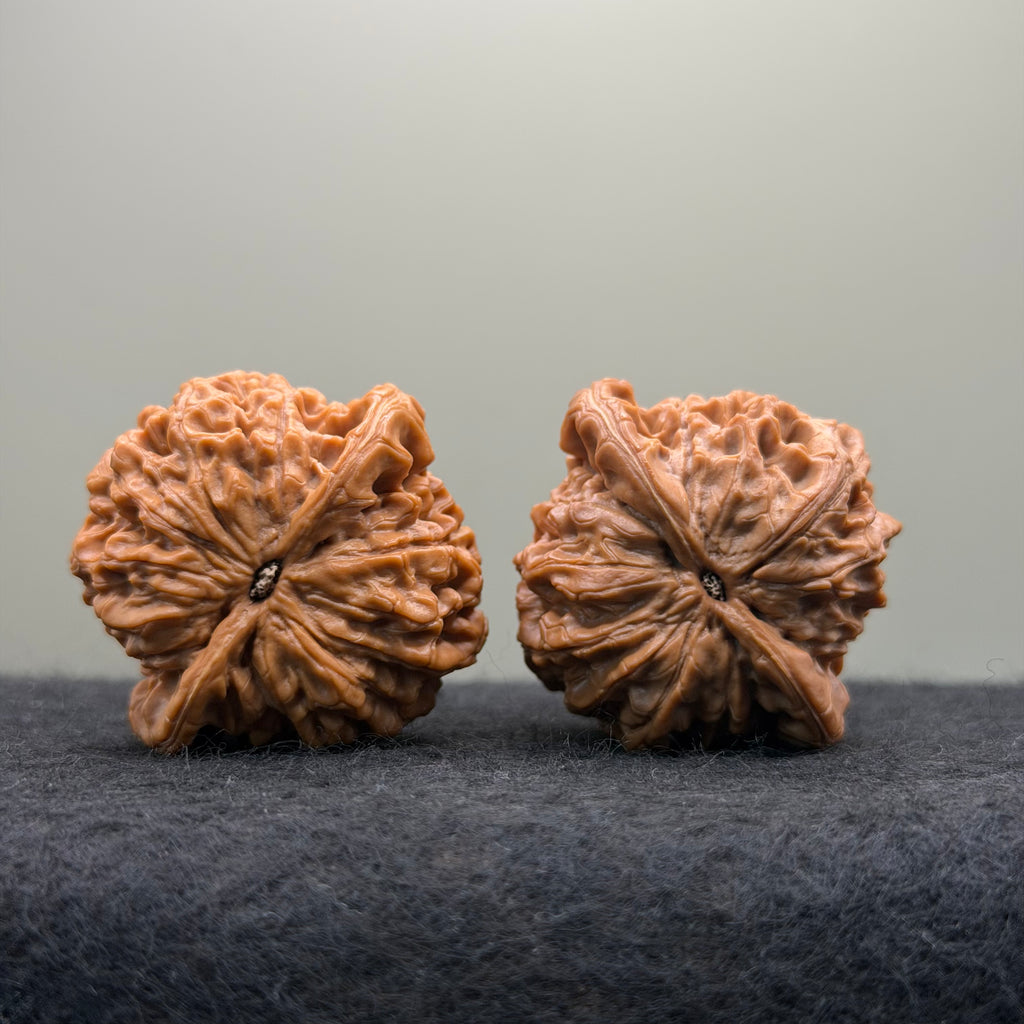 'Walnut King' Wenwan Walnut · 40mm · Collector Ritual