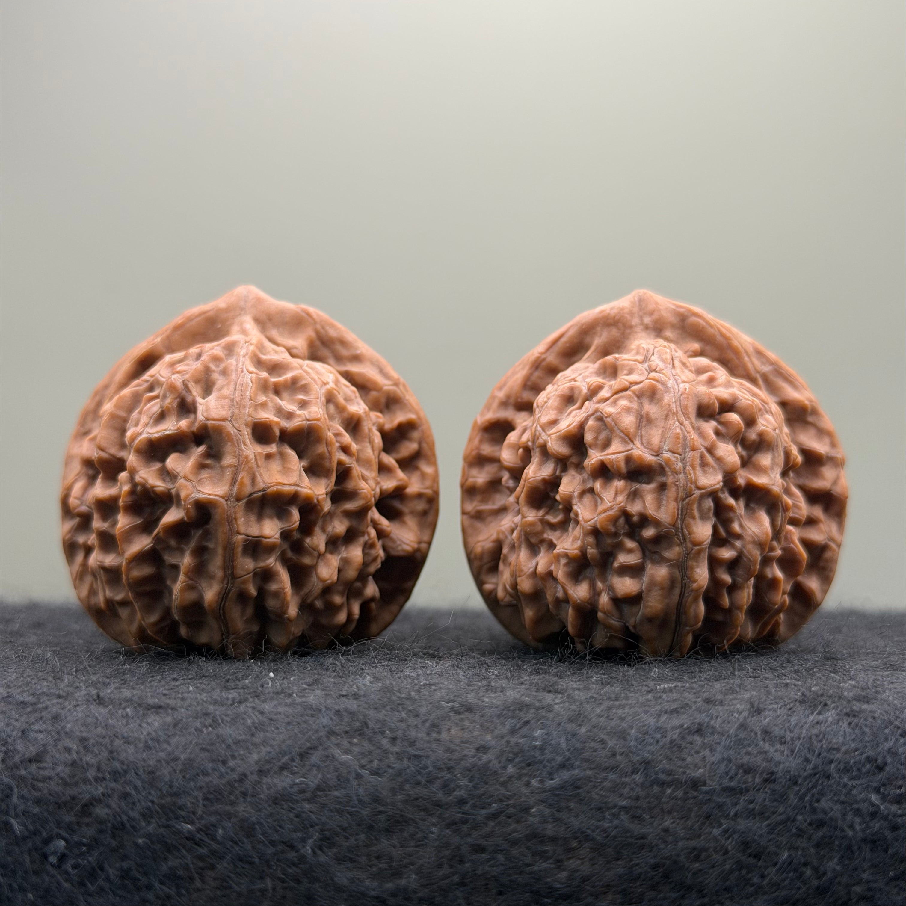 Golden Kirin Wenwan Walnut· 41mm · Natural · Collector Ritual