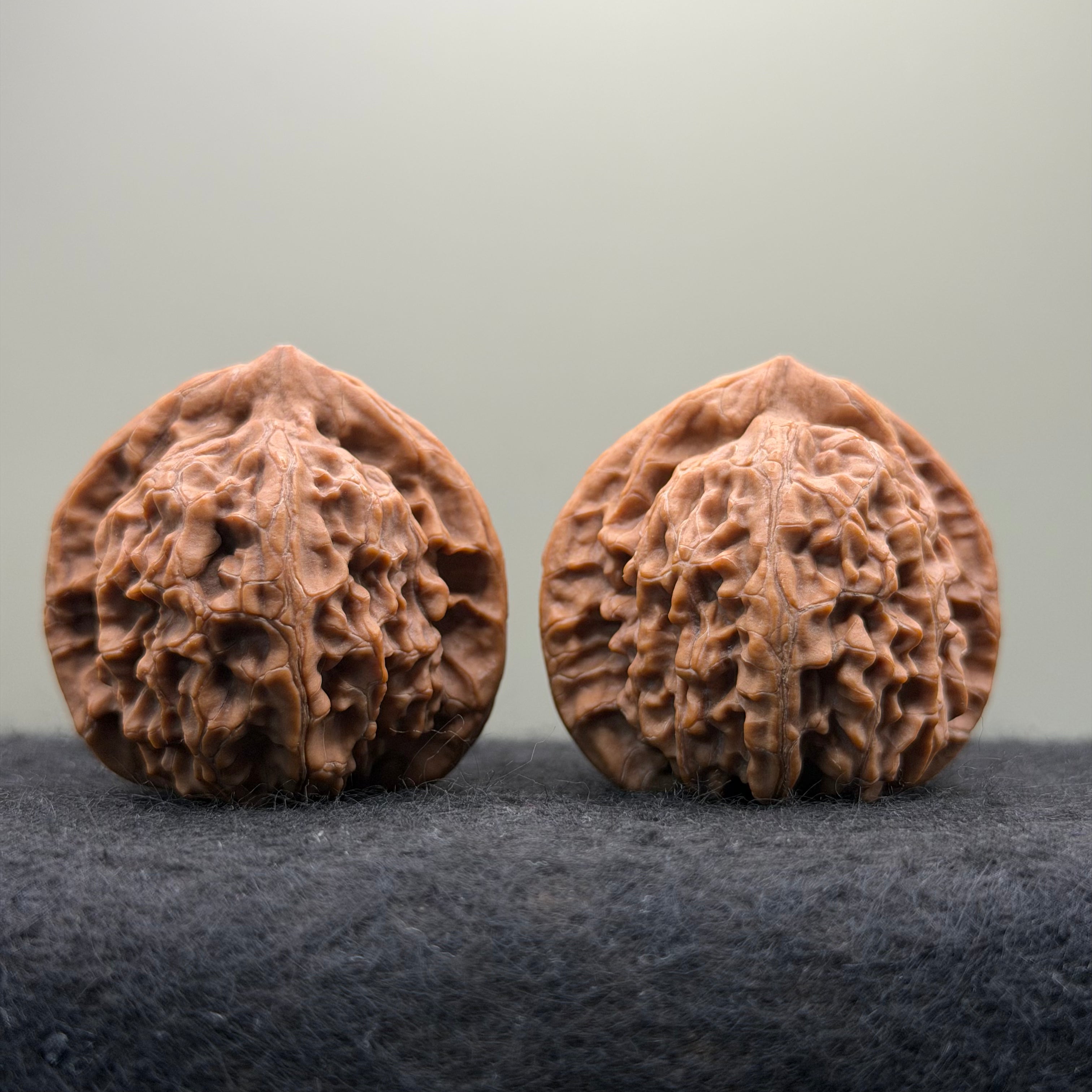 Golden Kirin Wenwan Walnut· 41mm · Natural · Collector Ritual
