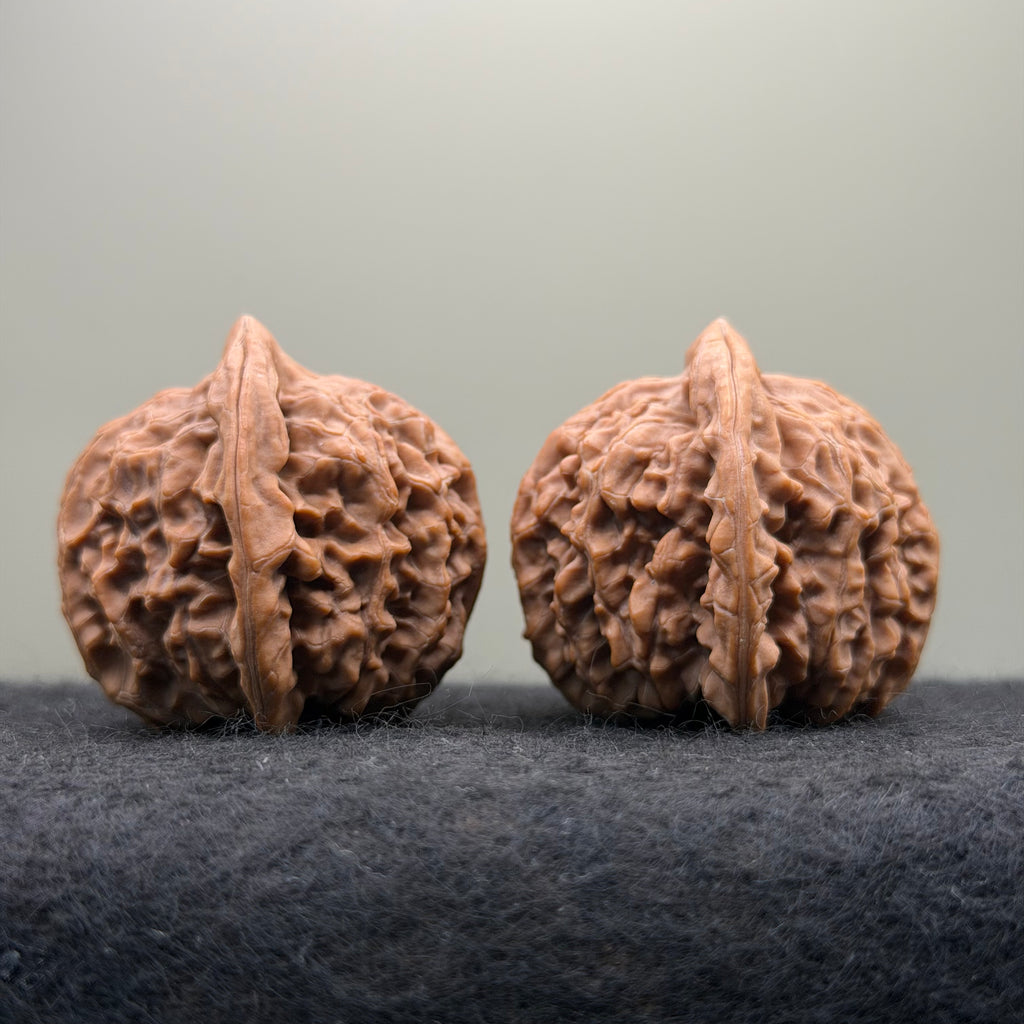 Golden Kirin Wenwan Walnut· 41mm · Natural · Collector Ritual