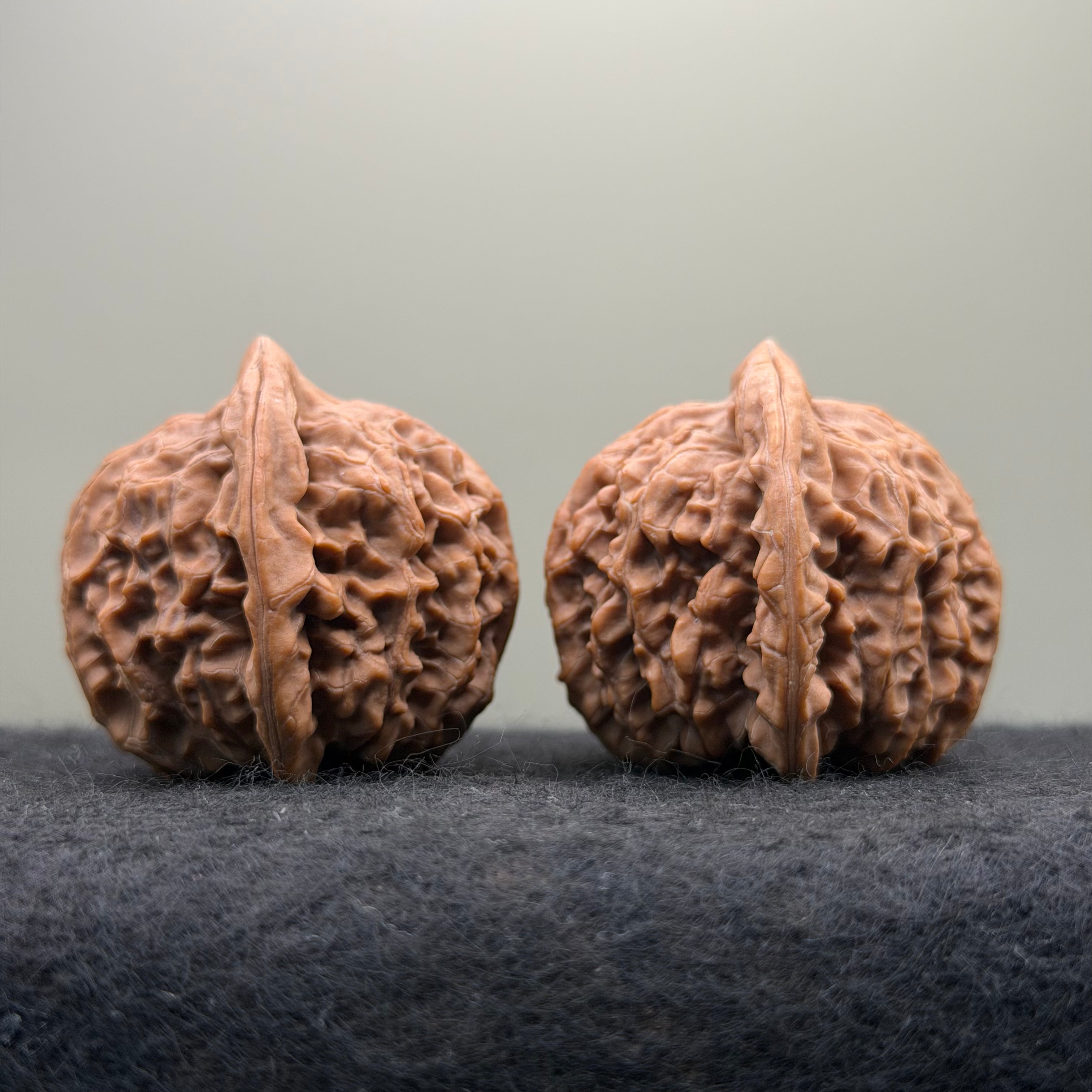 Golden Kirin Wenwan Walnut· 41mm · Natural · Collector Ritual