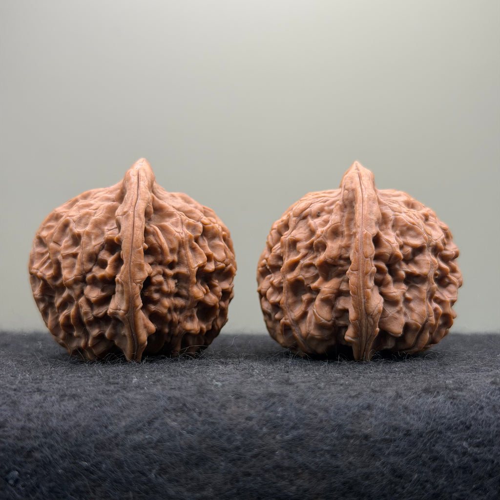 Golden Kirin Wenwan Walnut· 41mm · Natural · Collector Ritual