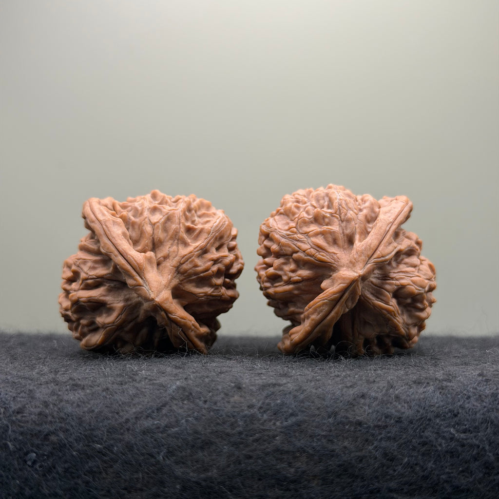 Golden Kirin Wenwan Walnut· 41mm · Natural · Collector Ritual