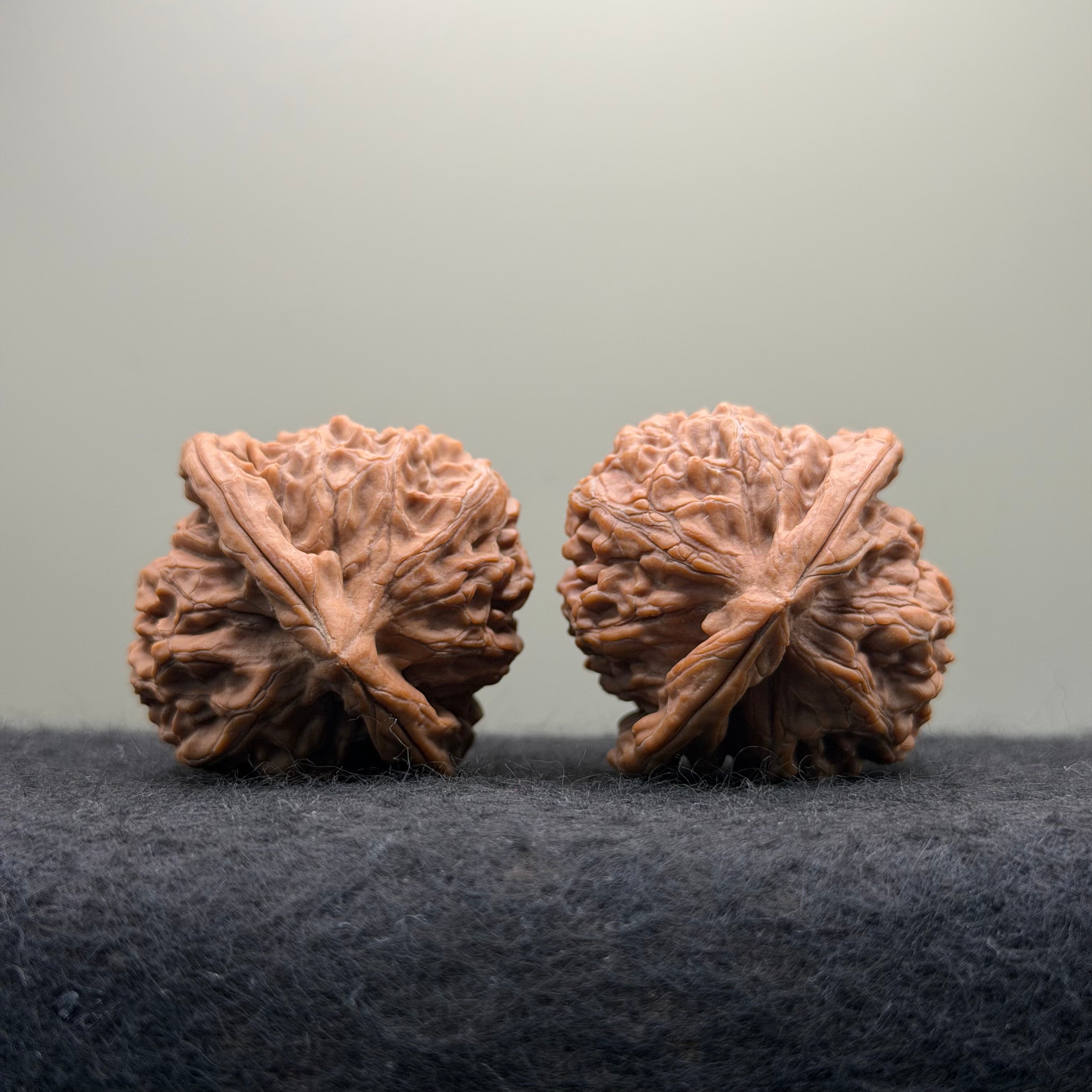 Golden Kirin Wenwan Walnut· 41mm · Natural · Collector Ritual
