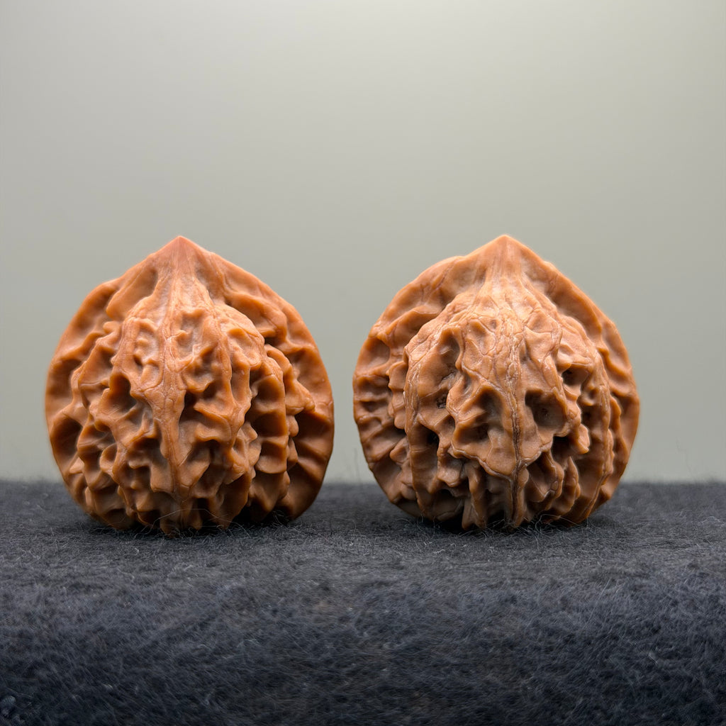 Longmen Jian Wenwan Walnut · 39mm · Collector Ritual