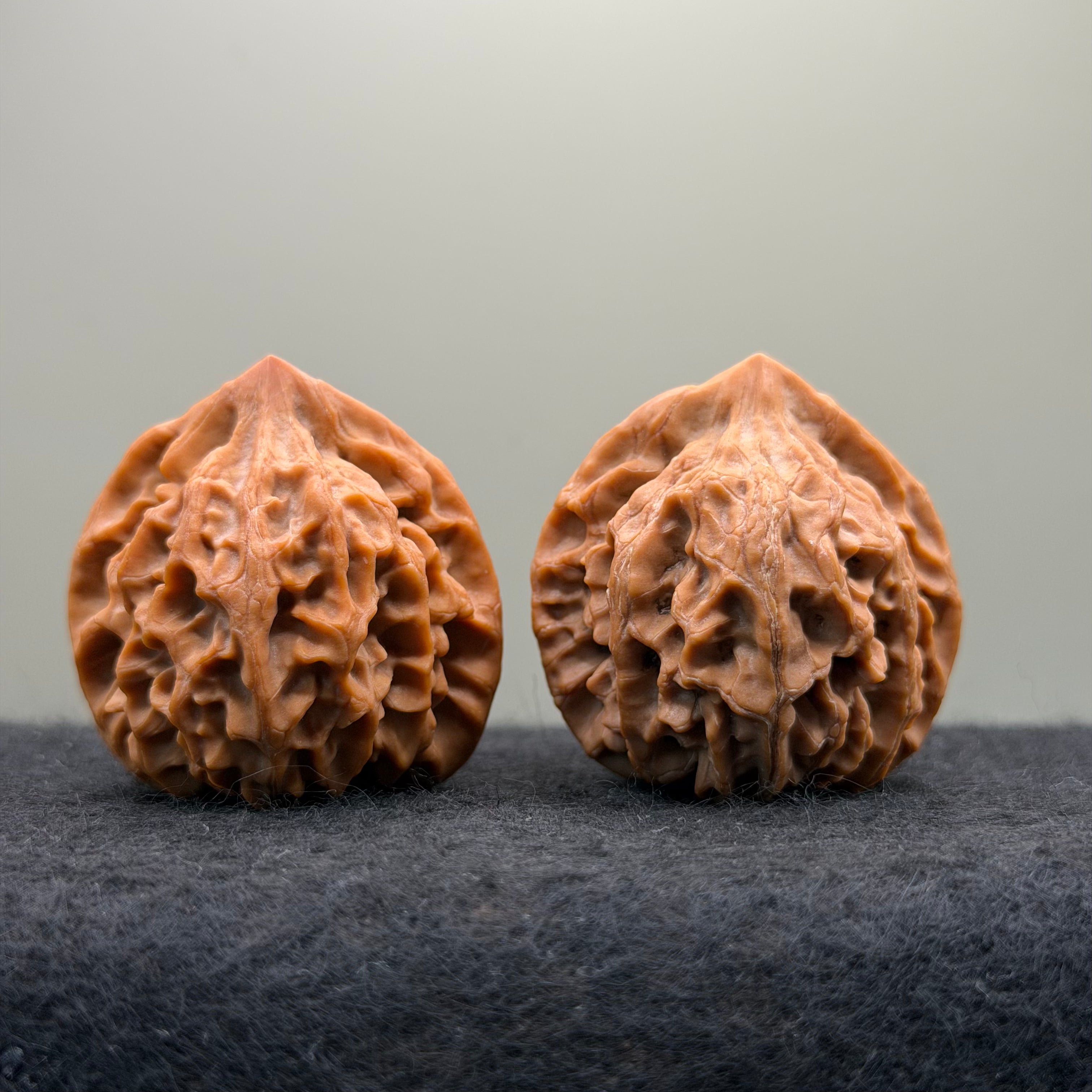 Longmen Jian Wenwan Walnut · 39mm · Collector Ritual