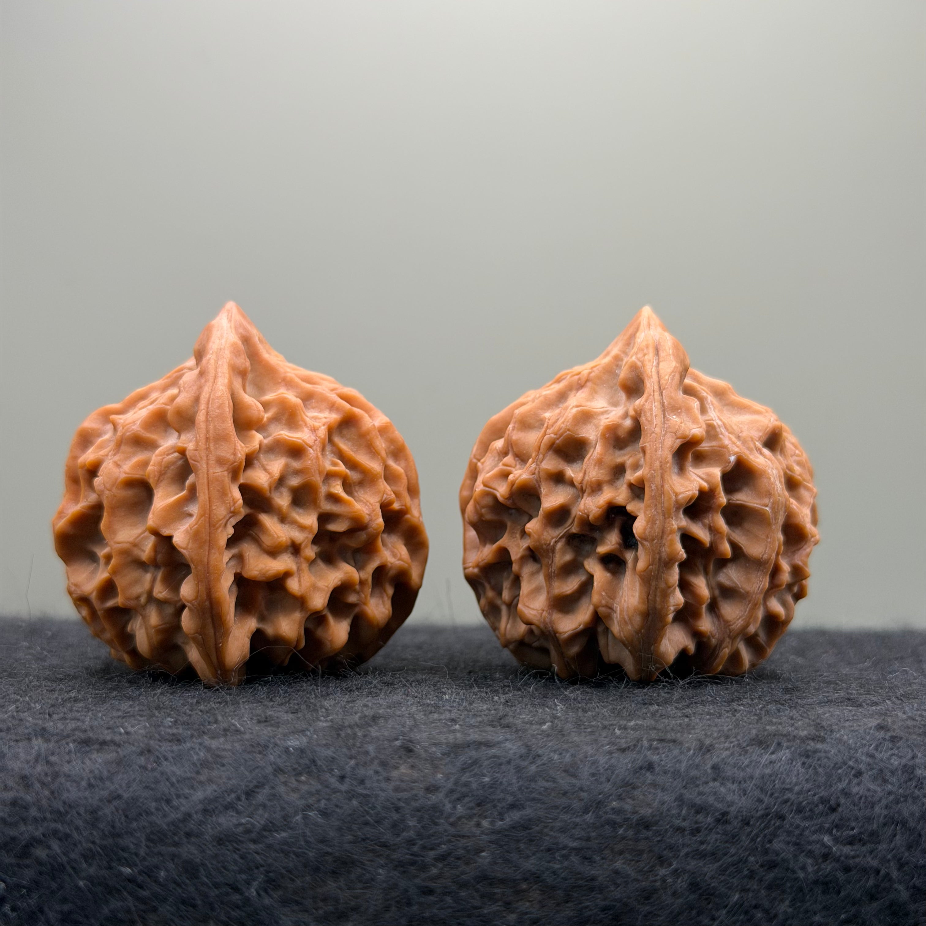 Longmen Jian Wenwan Walnut · 39mm · Collector Ritual