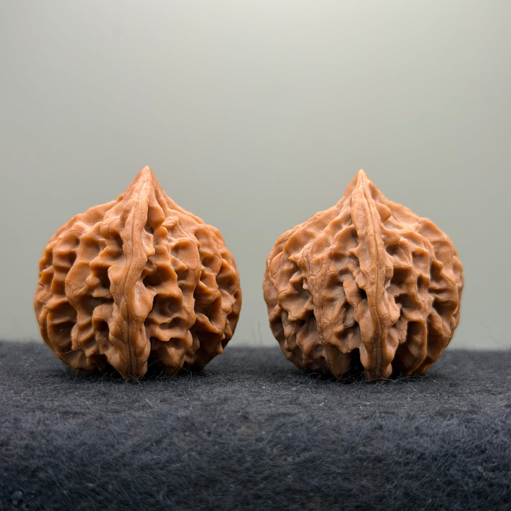Longmen Jian Wenwan Walnut · 39mm · Collector Ritual