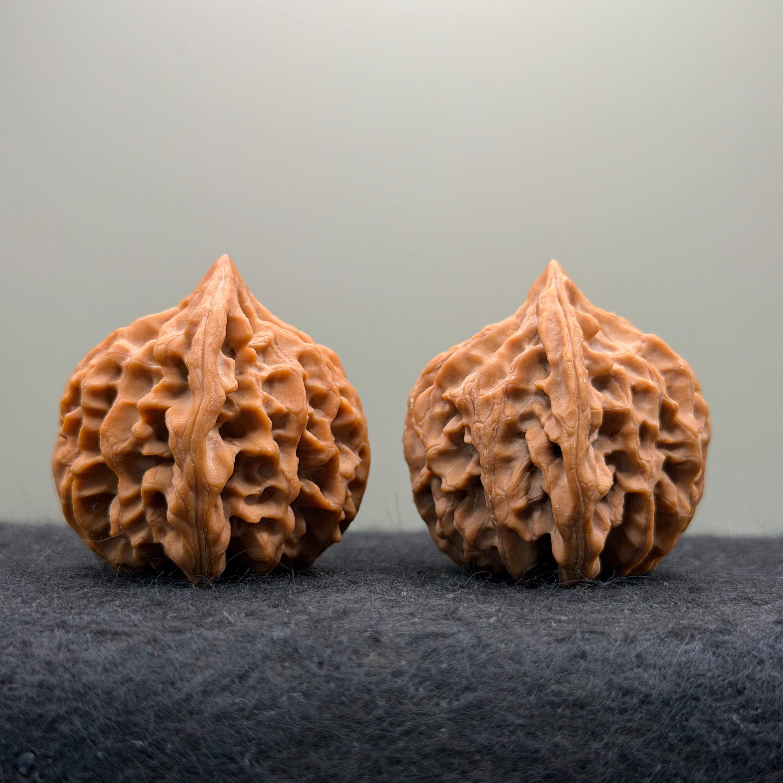 Longmen Jian Wenwan Walnut · 39mm · Collector Ritual