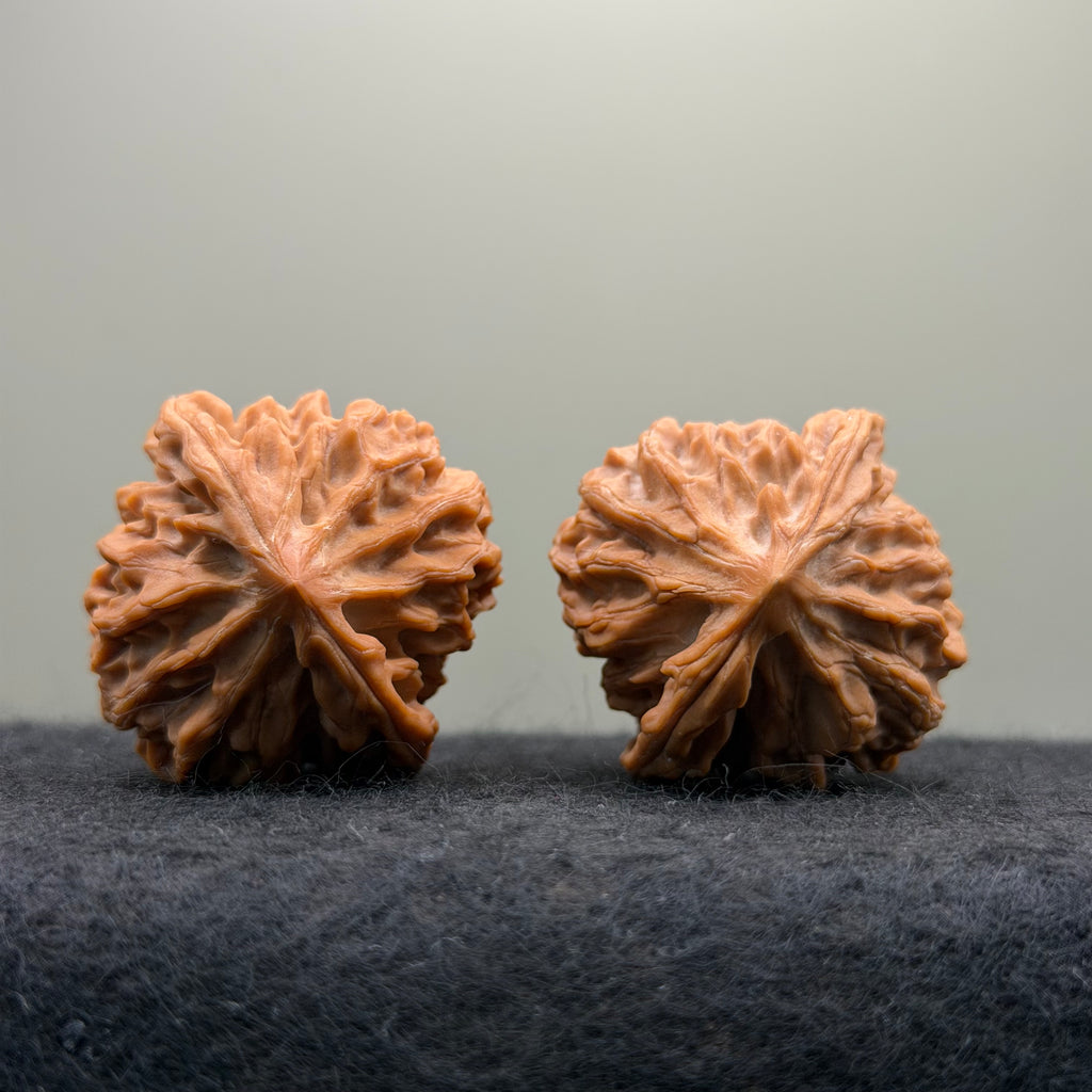 Longmen Jian Wenwan Walnut · 39mm · Collector Ritual