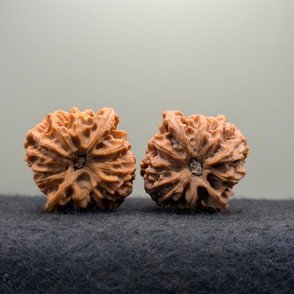 Longmen Jian Wenwan Walnut · 39mm · Collector Ritual