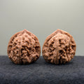 Red Lotus Wenwan Walnut · 39mm · Natural · Entry Ritual