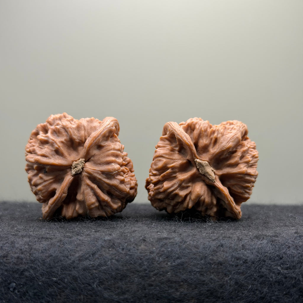 Red Lotus Wenwan Walnut · 39mm · Natural · Entry Ritual