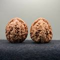 'Walnut Zun' Wenwan Walnut · 39mm · Natural · Select Ritual