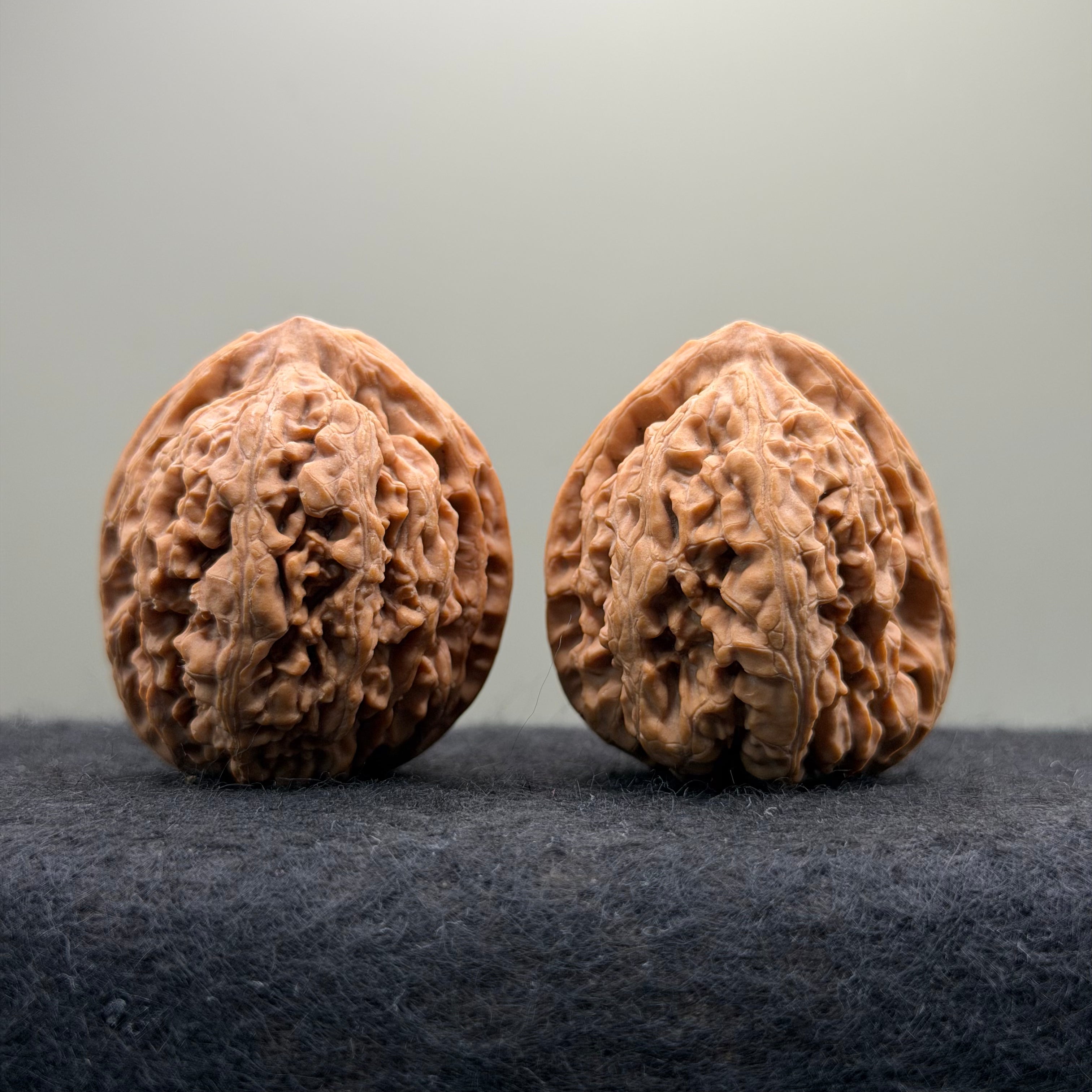 'Walnut Zun' Wenwan Walnut · 39mm · Natural · Select Ritual