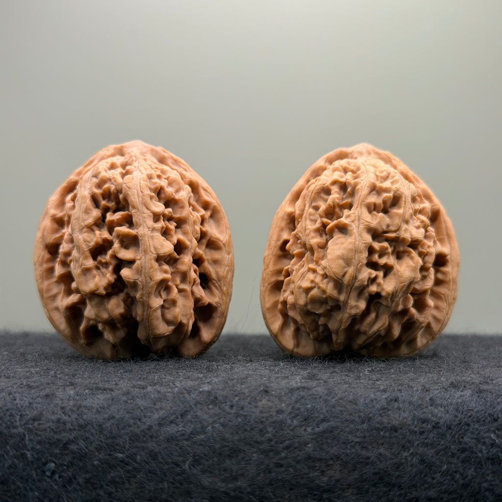 'Walnut Zun' Wenwan Walnut · 39mm · Natural · Select Ritual