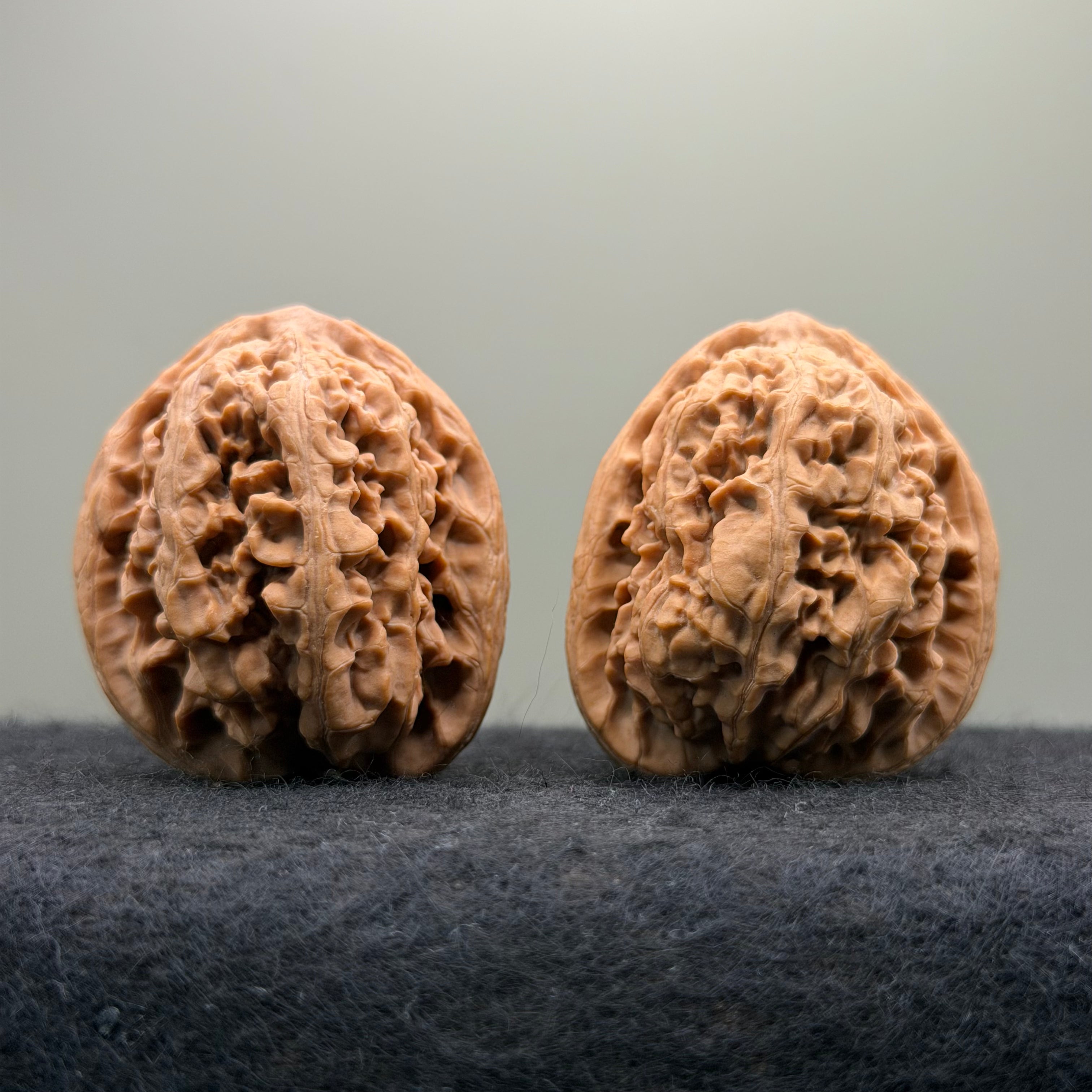'Walnut Zun' Wenwan Walnut · 39mm · Natural · Select Ritual