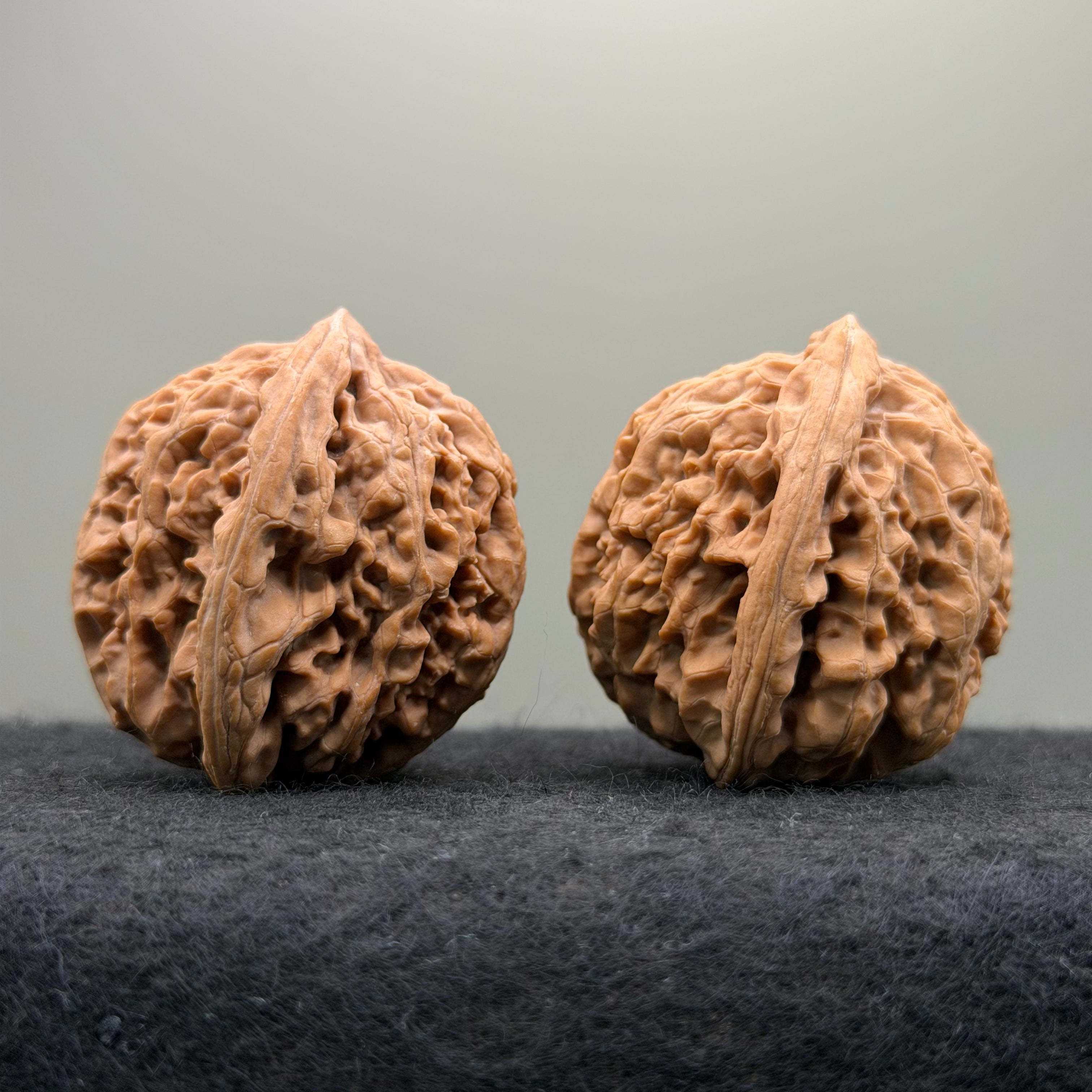 'Walnut Zun' Wenwan Walnut · 39mm · Natural · Select Ritual