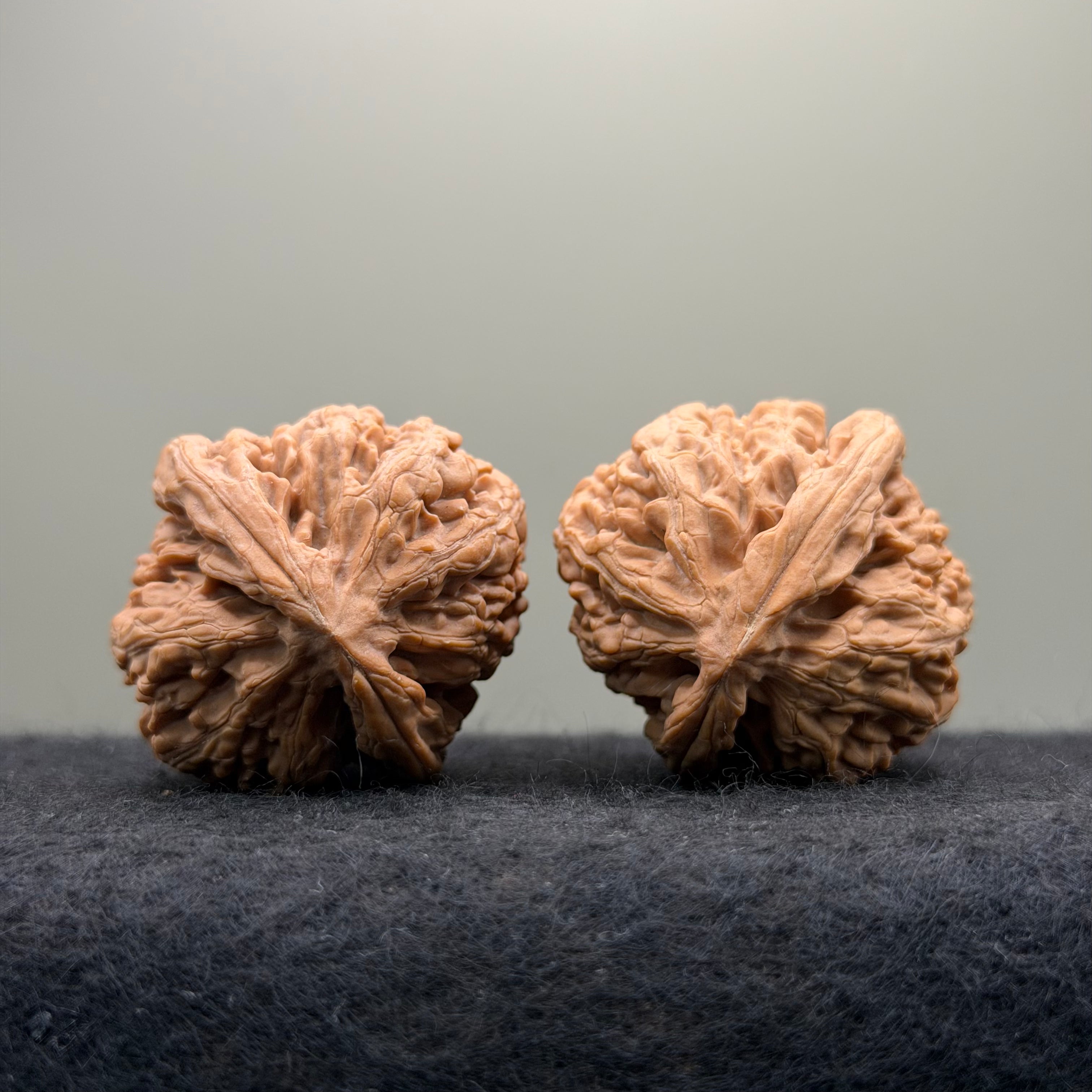 'Walnut Zun' Wenwan Walnut · 39mm · Natural · Select Ritual