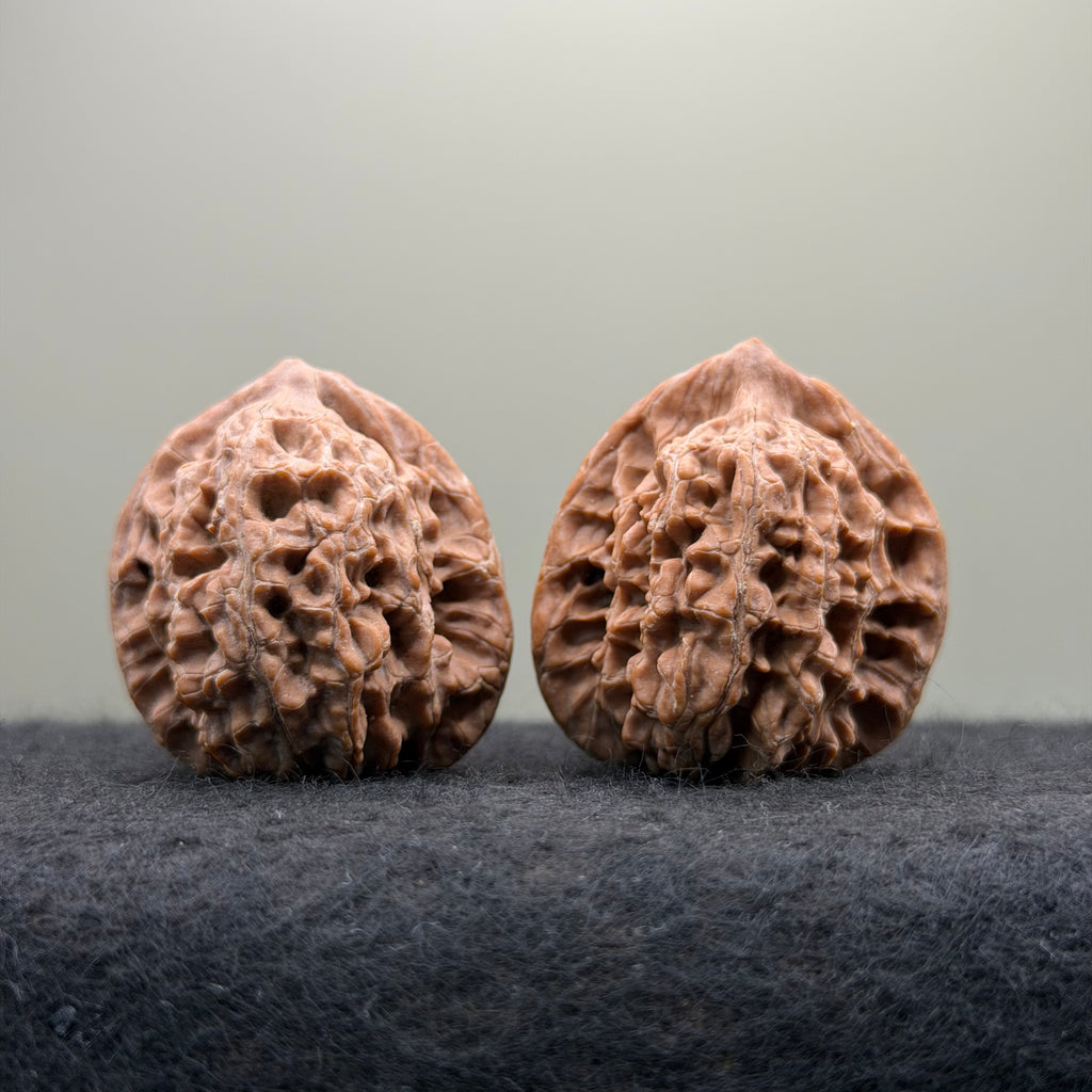 Moon Gazing Wenwan Walnut · 37mm · Natural · Select Ritual