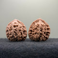 Moon Gazing Wenwan Walnut · 37mm · Natural · Select Ritual