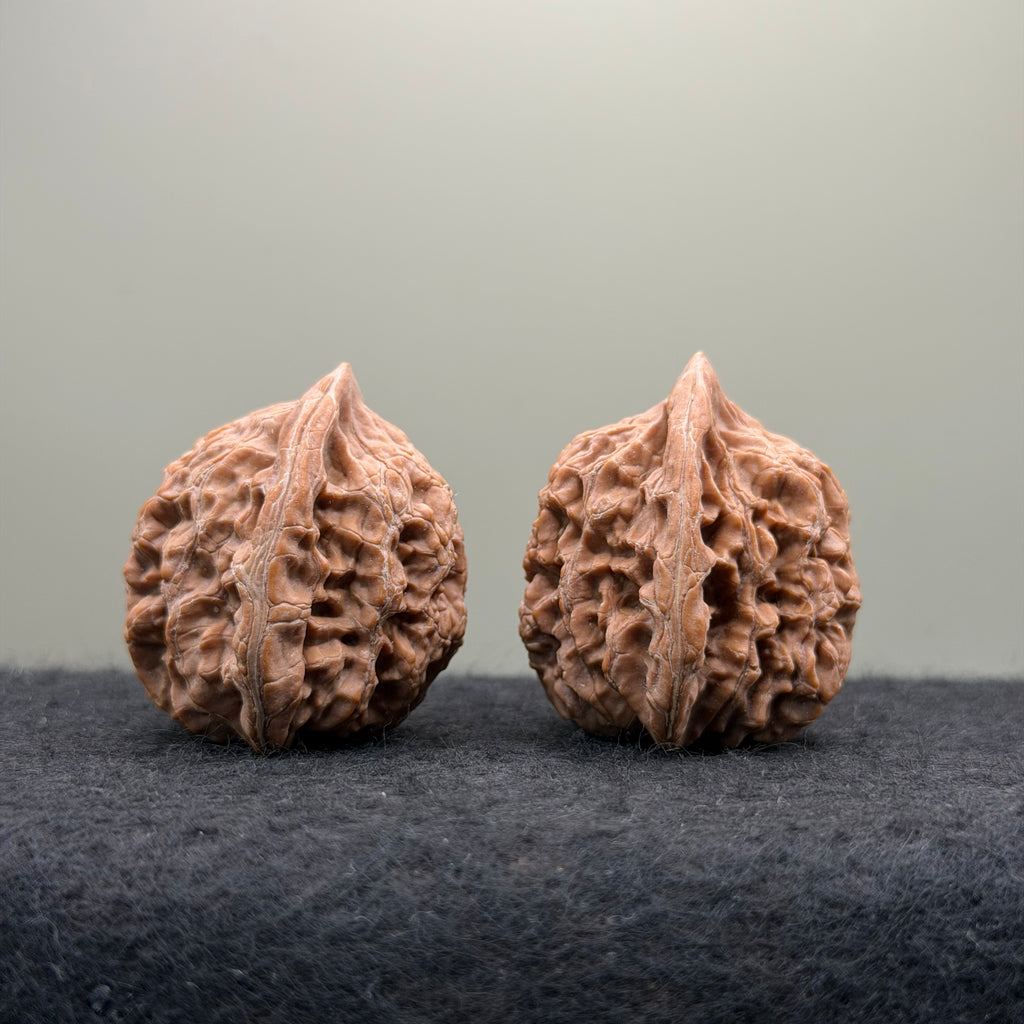 Moon Gazing Wenwan Walnut · 37mm · Natural · Select Ritual