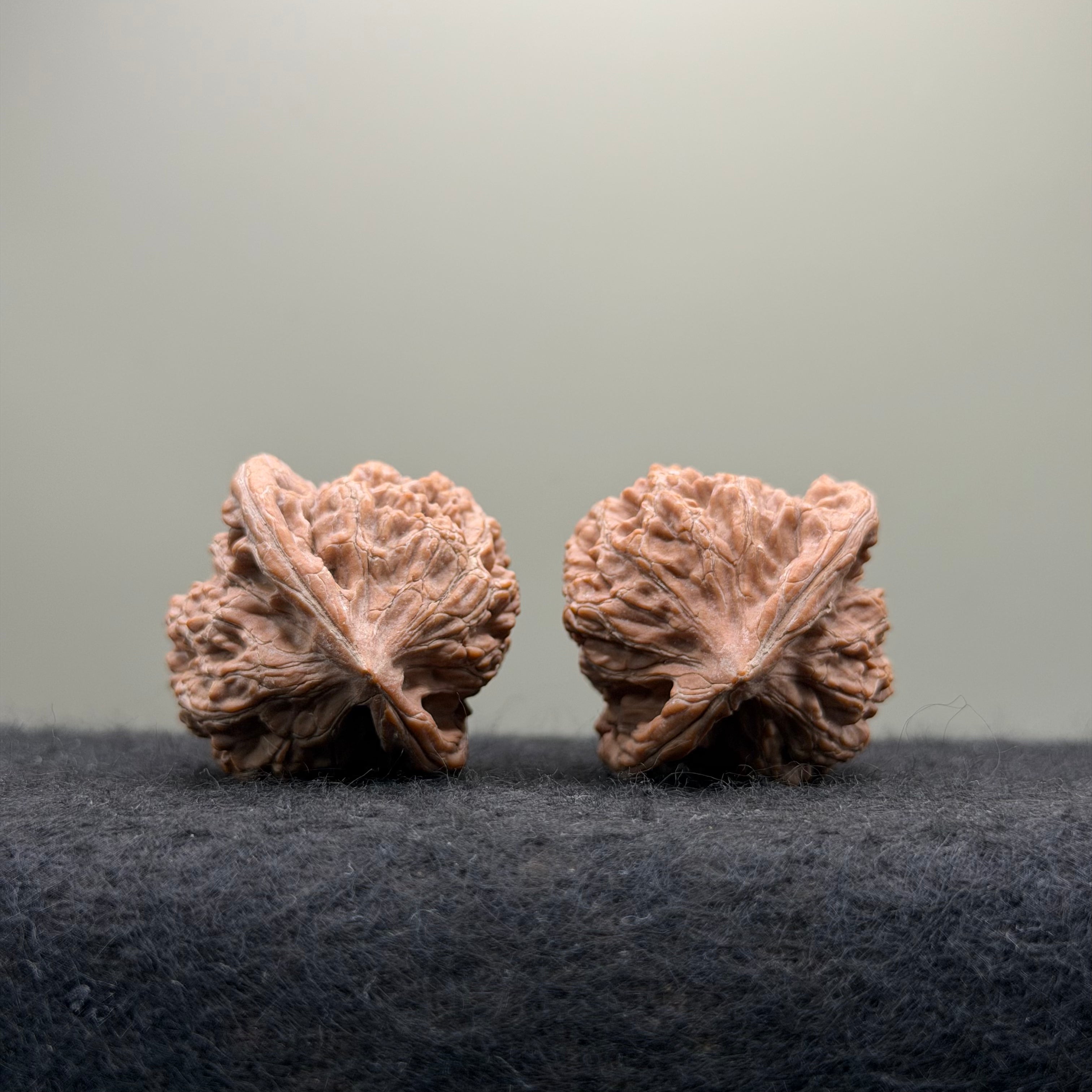 Moon Gazing Wenwan Walnut · 37mm · Natural · Select Ritual
