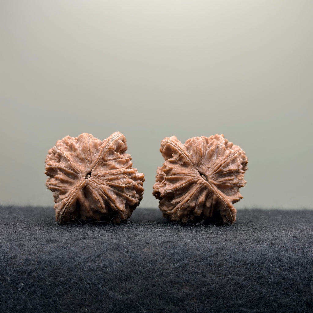 Moon Gazing Wenwan Walnut · 37mm · Natural · Select Ritual