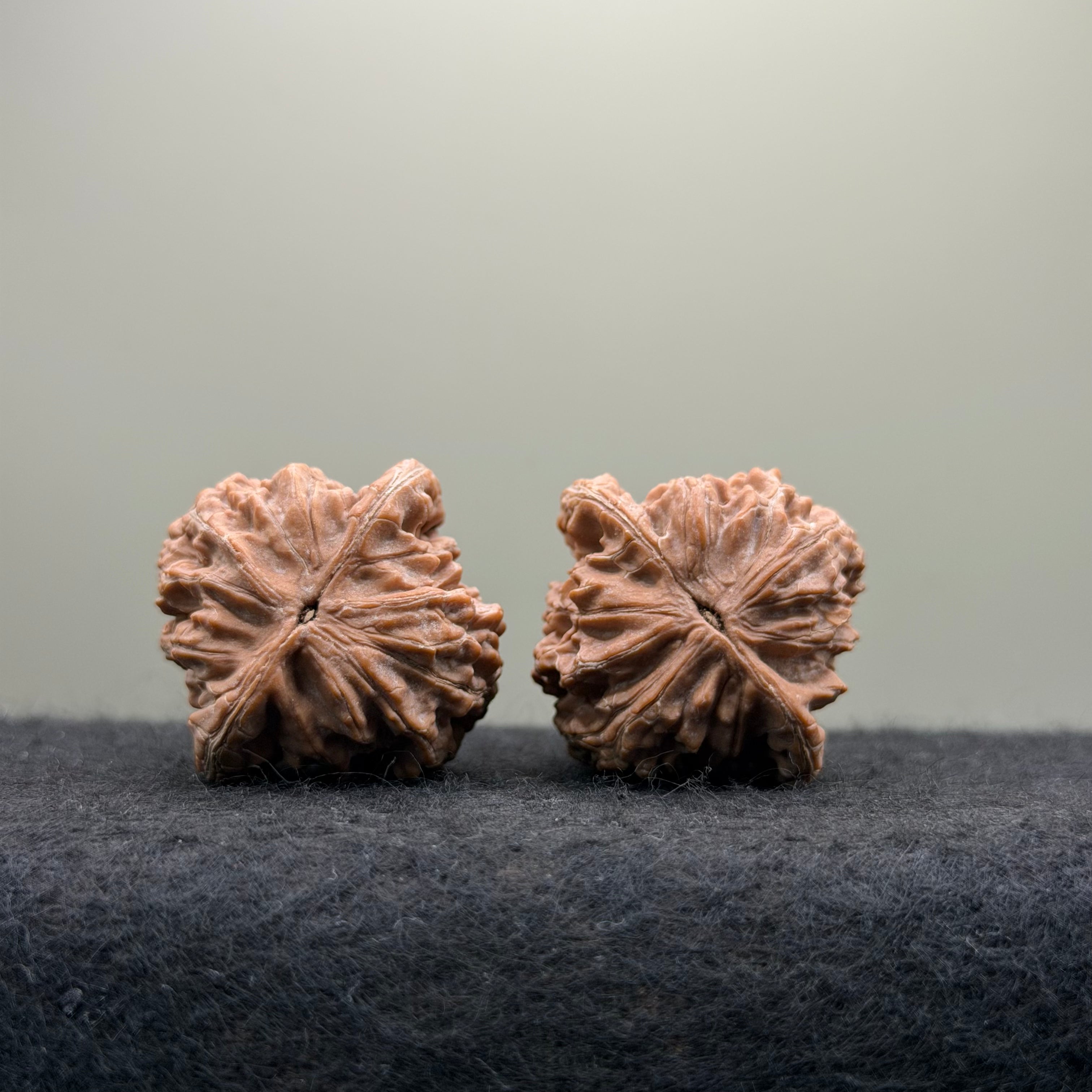 Moon Gazing Wenwan Walnut · 37mm · Natural · Select Ritual