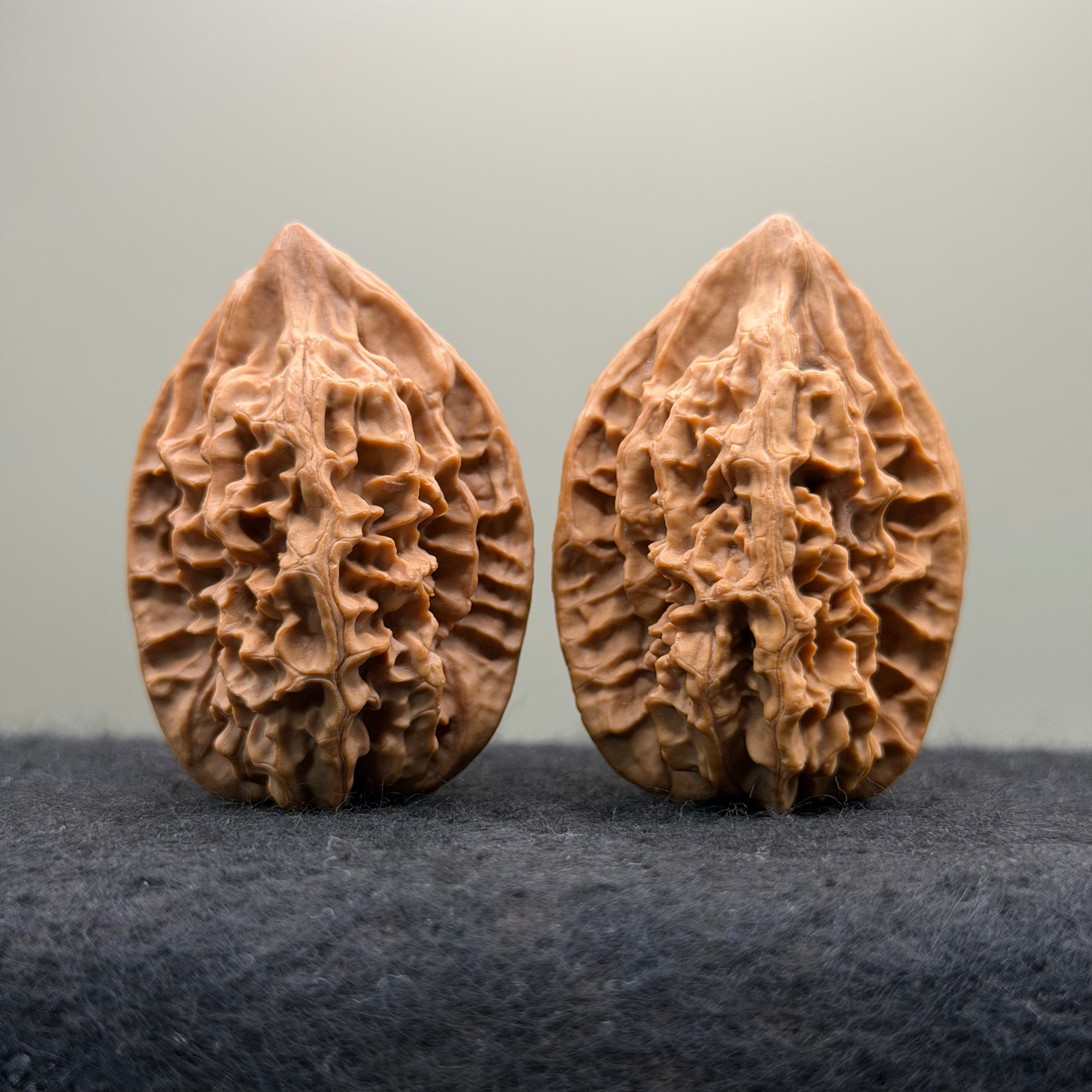 Sabertooth Tiger Wenwan Walnut (Rare Variety) · 36mm · Natural · Collector Ritual