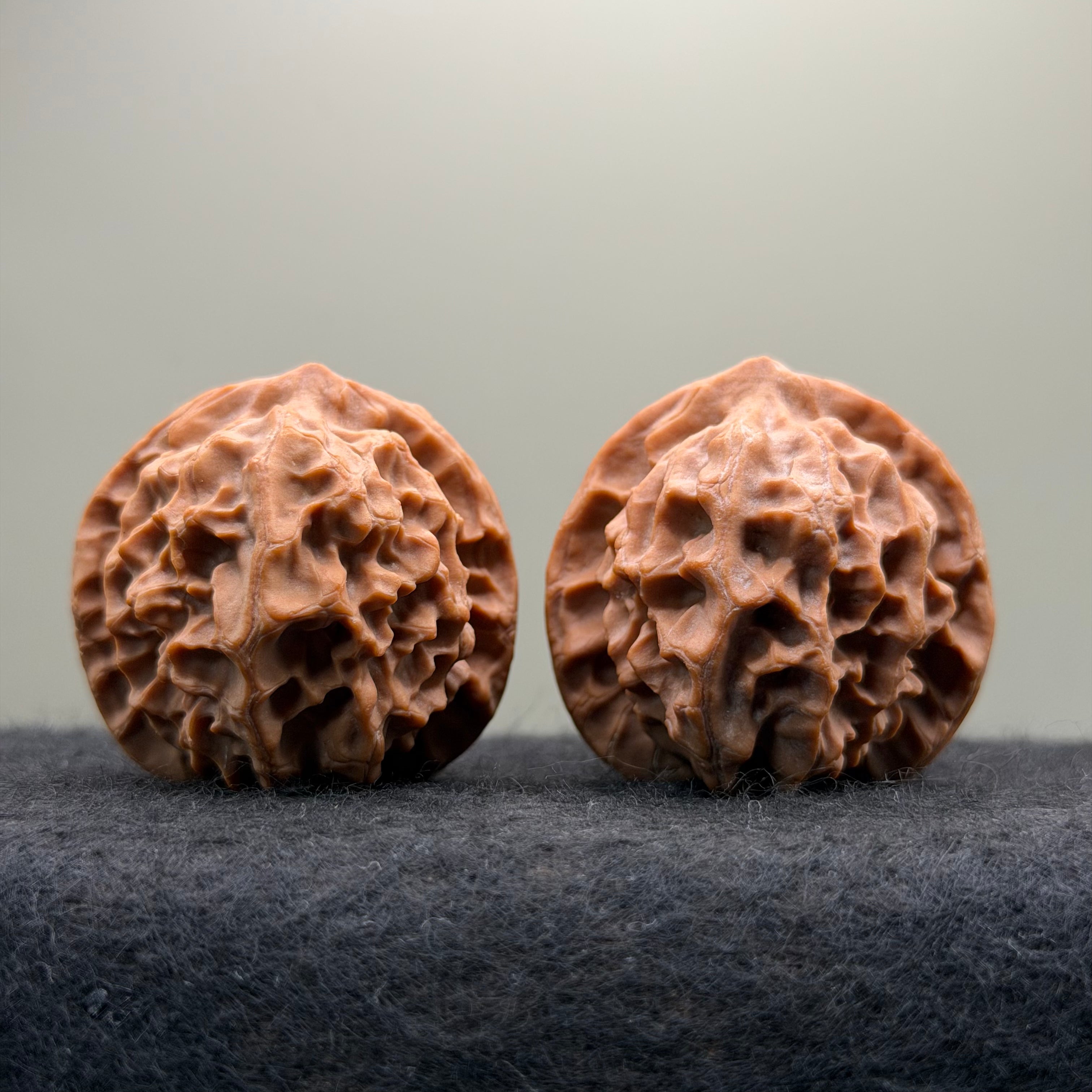 Dragon Scale Wenwan Walnut · 41mm · Natural · Collector Ritual