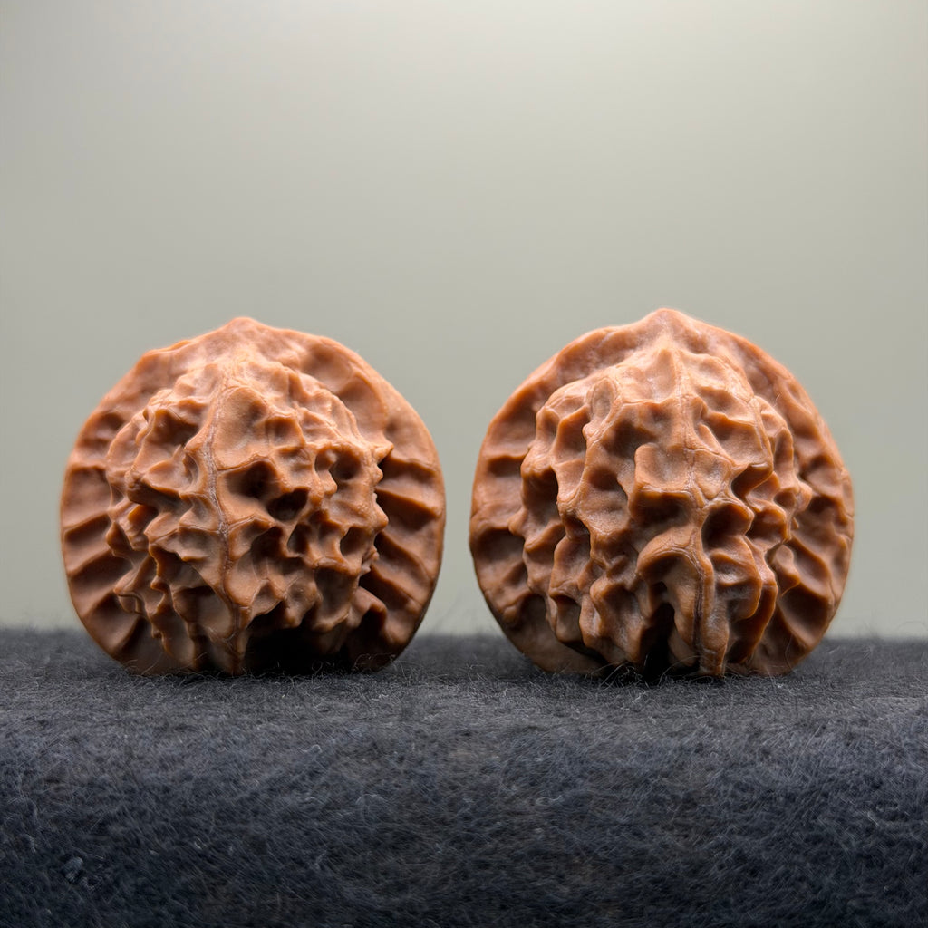 Dragon Scale Wenwan Walnut · 41mm · Natural · Collector Ritual