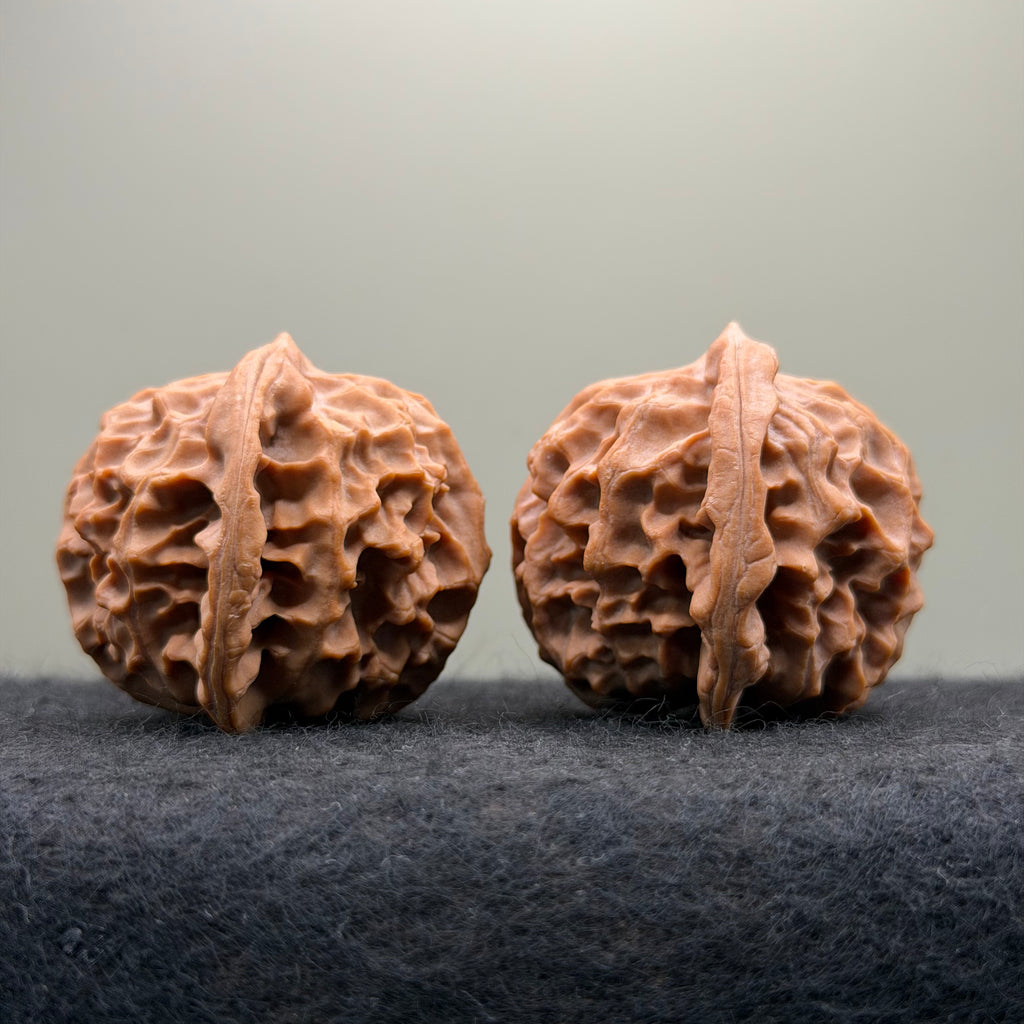 Dragon Scale Wenwan Walnut · 41mm · Natural · Collector Ritual
