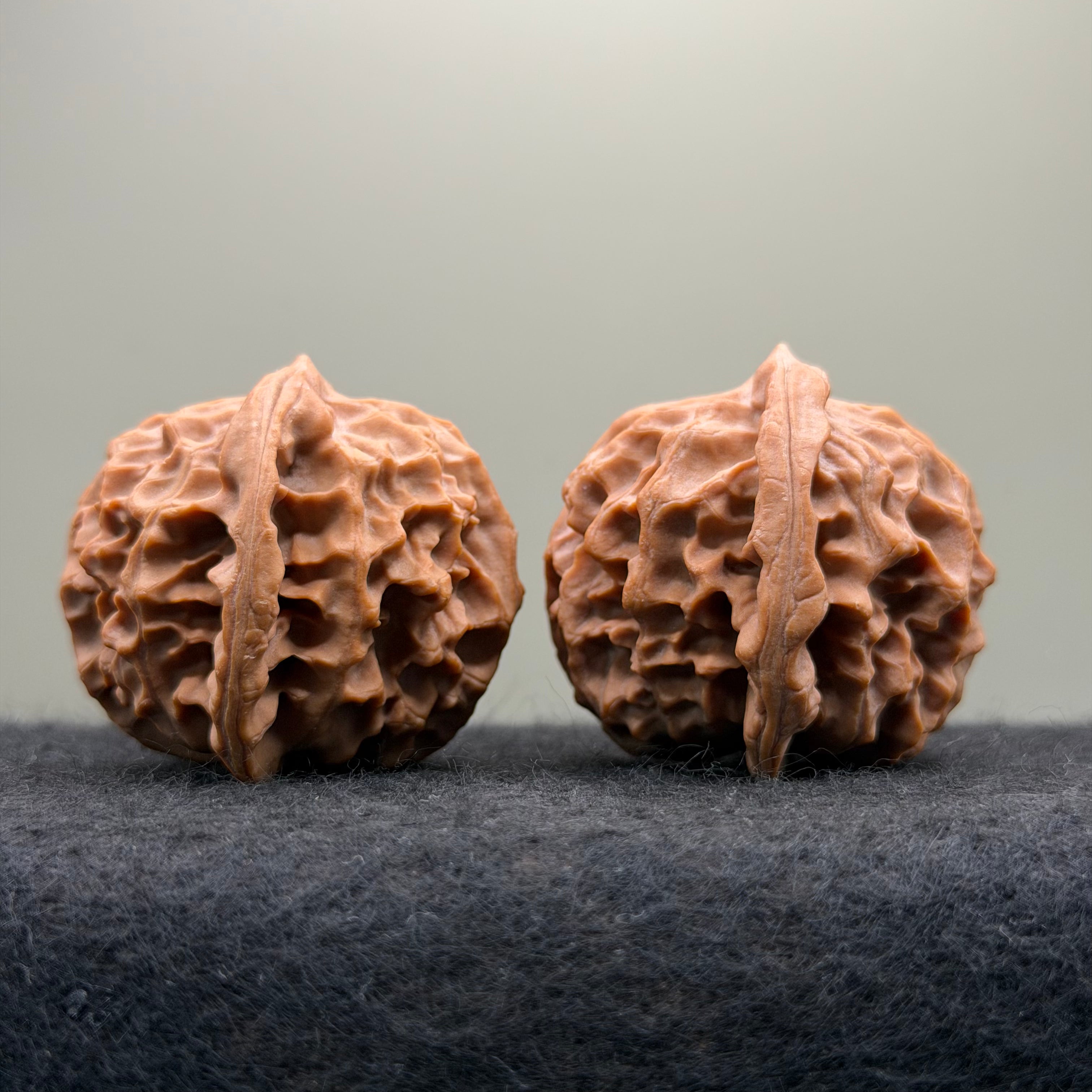Dragon Scale Wenwan Walnut · 41mm · Natural · Collector Ritual
