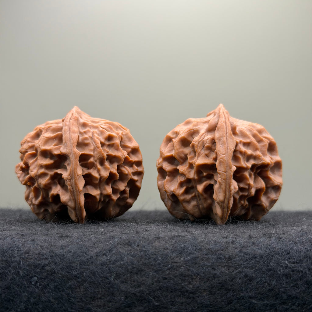 Dragon Scale Wenwan Walnut · 41mm · Natural · Collector Ritual