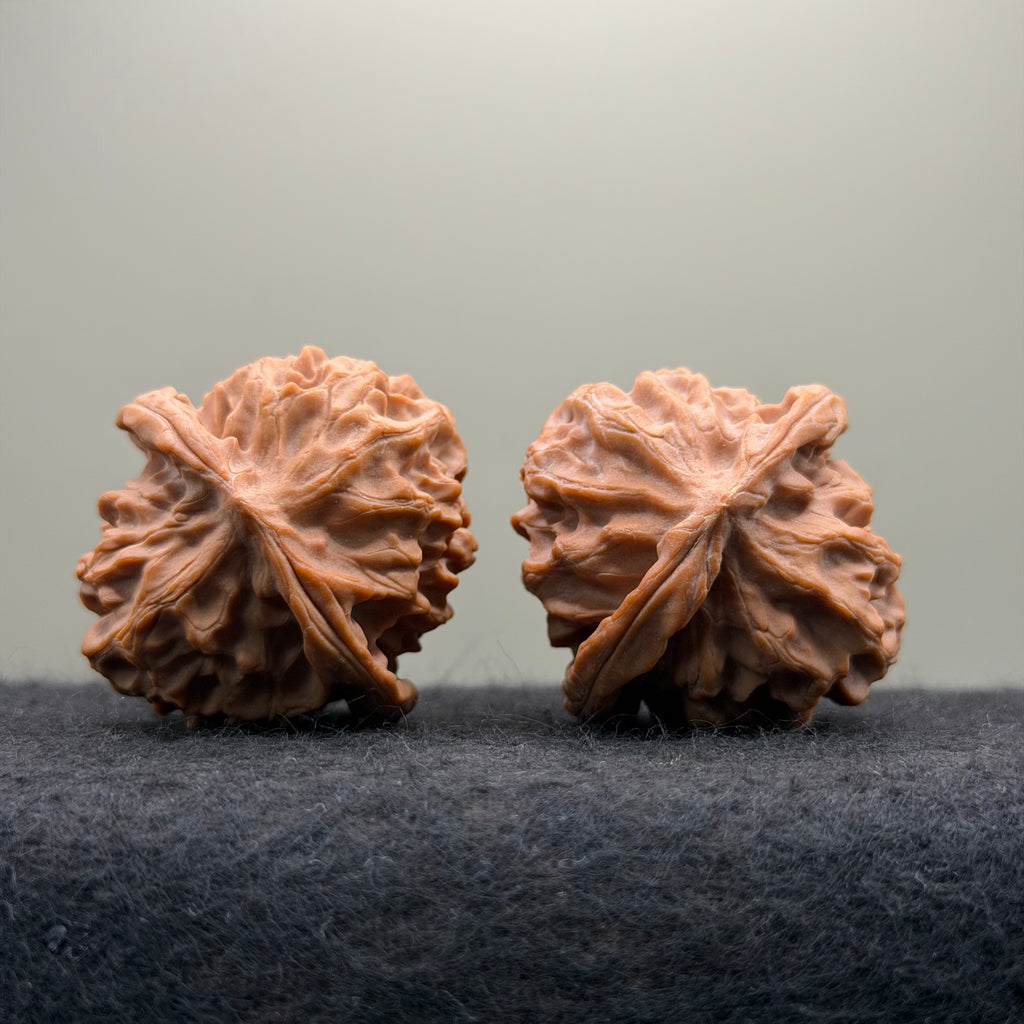 Dragon Scale Wenwan Walnut · 41mm · Natural · Collector Ritual
