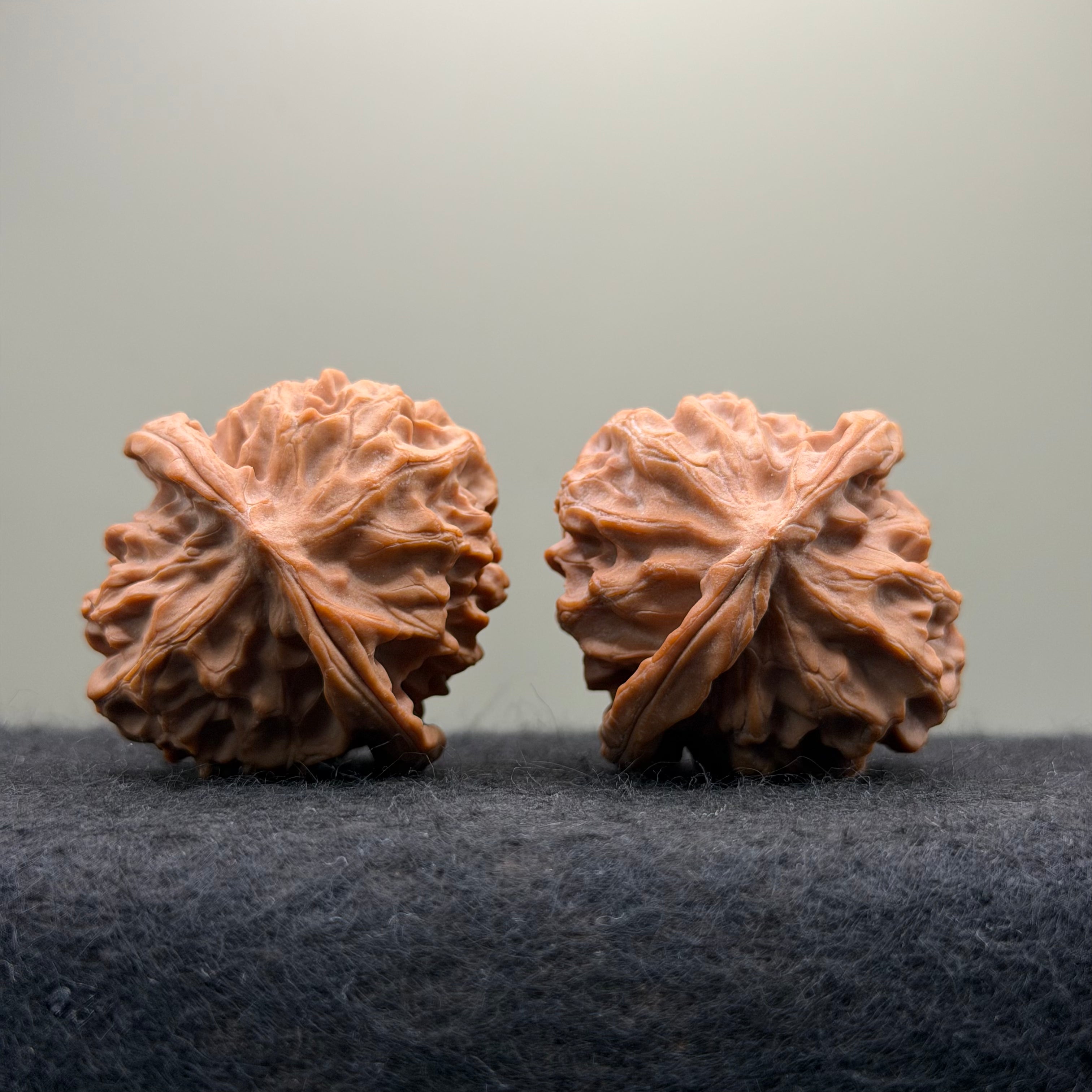 Dragon Scale Wenwan Walnut · 41mm · Natural · Collector Ritual