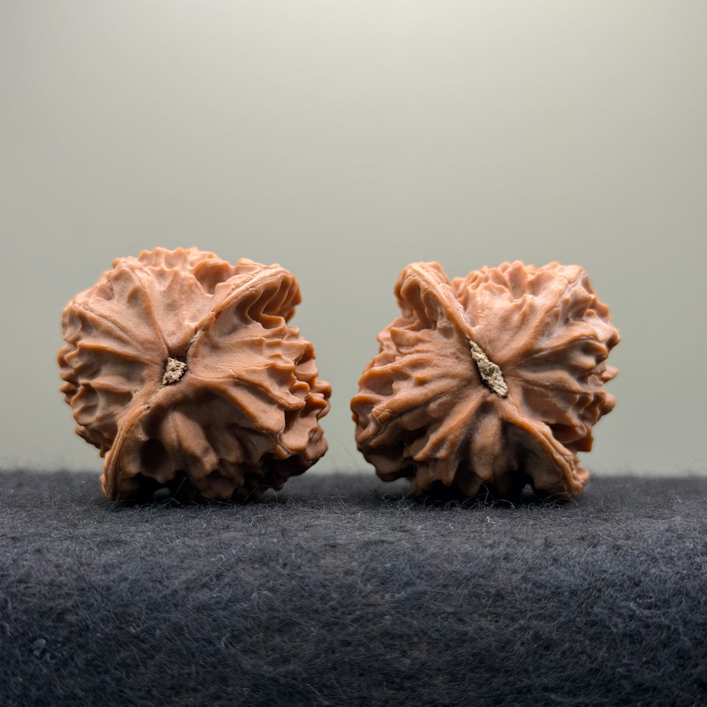 Dragon Scale Wenwan Walnut · 41mm · Natural · Collector Ritual