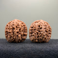 Ma Laosi Wenwan Walnut · 39mm · Natural · Premium Ritual