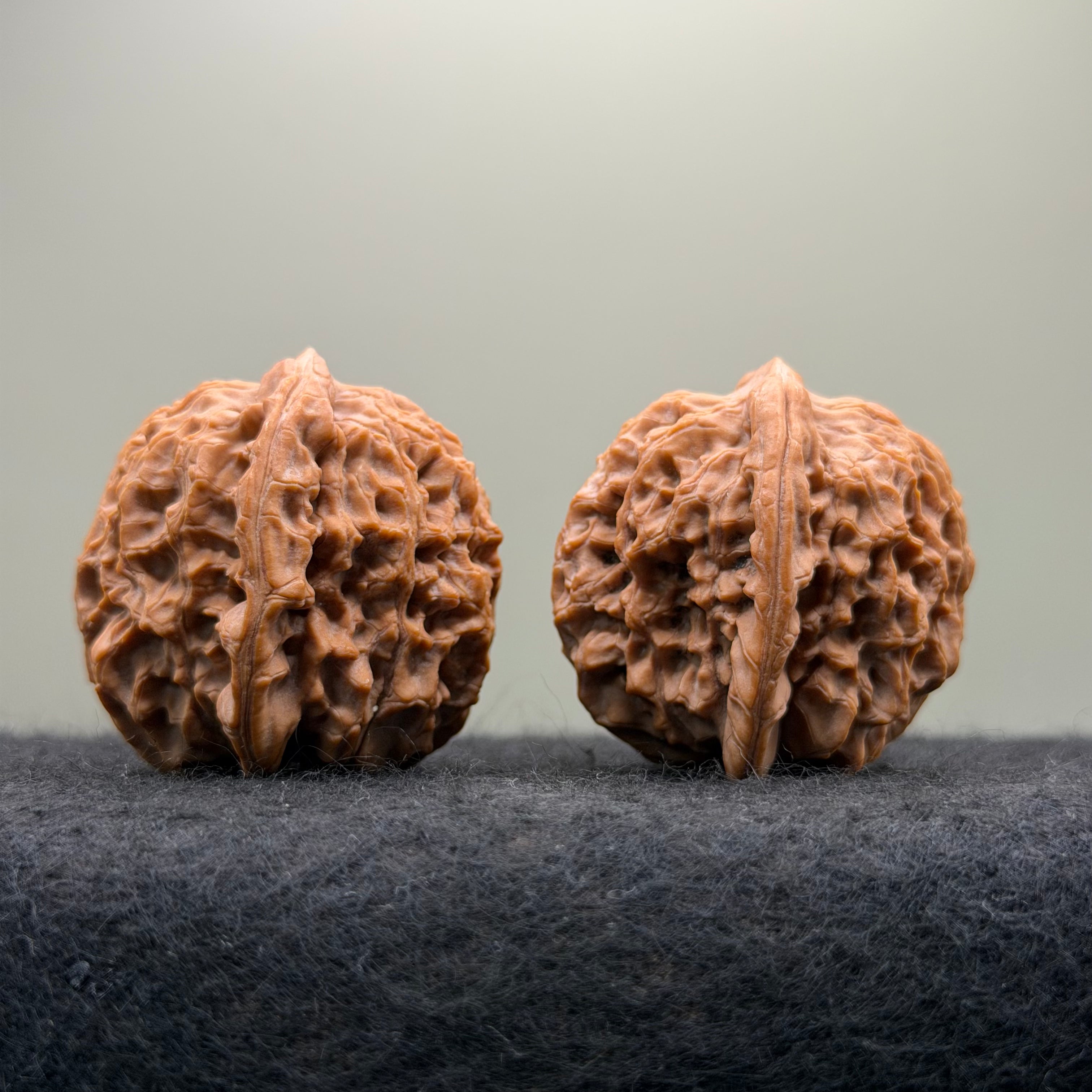 Ma Laosi Wenwan Walnut · 39mm · Natural · Premium Ritual