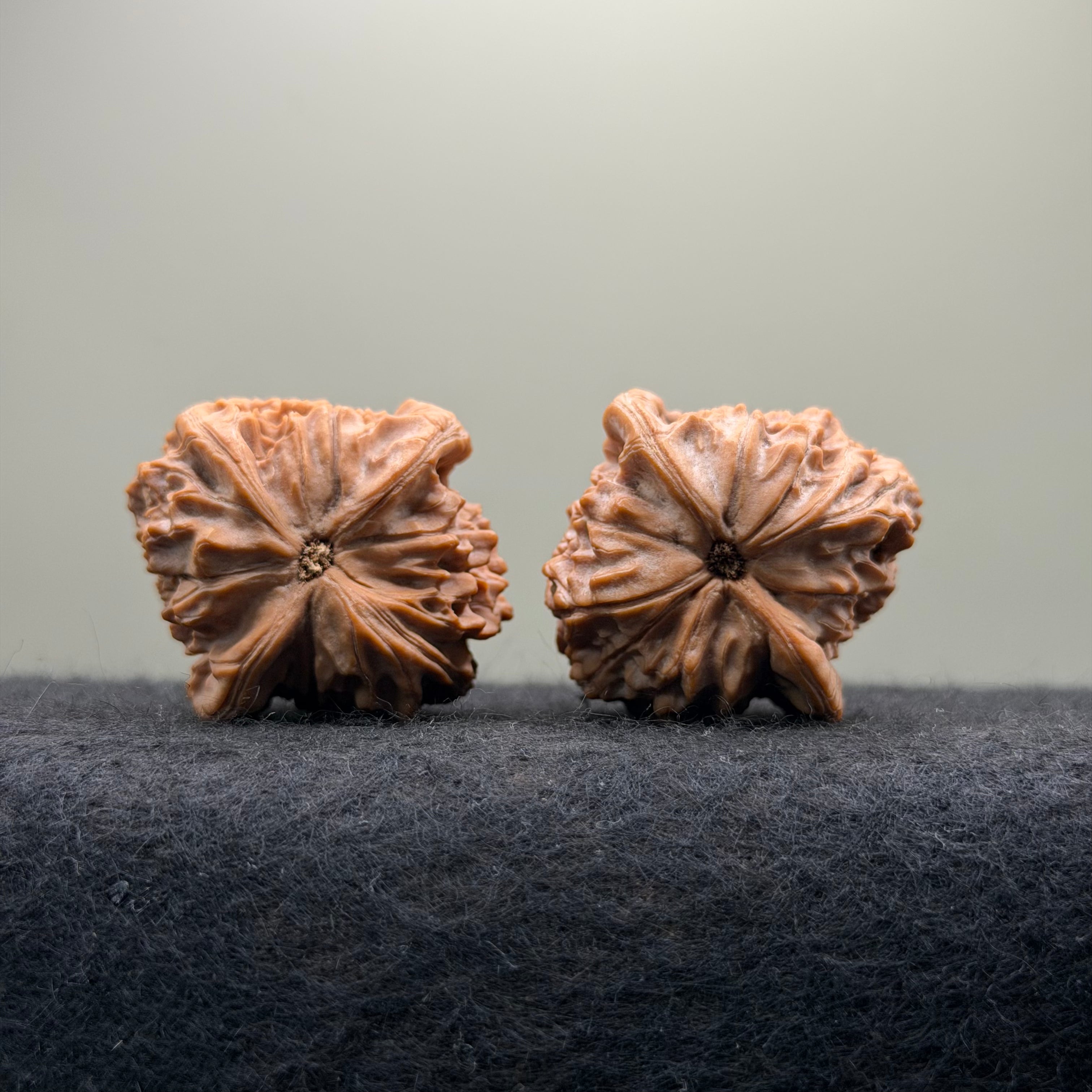 Ma Laosi Wenwan Walnut · 39mm · Natural · Premium Ritual