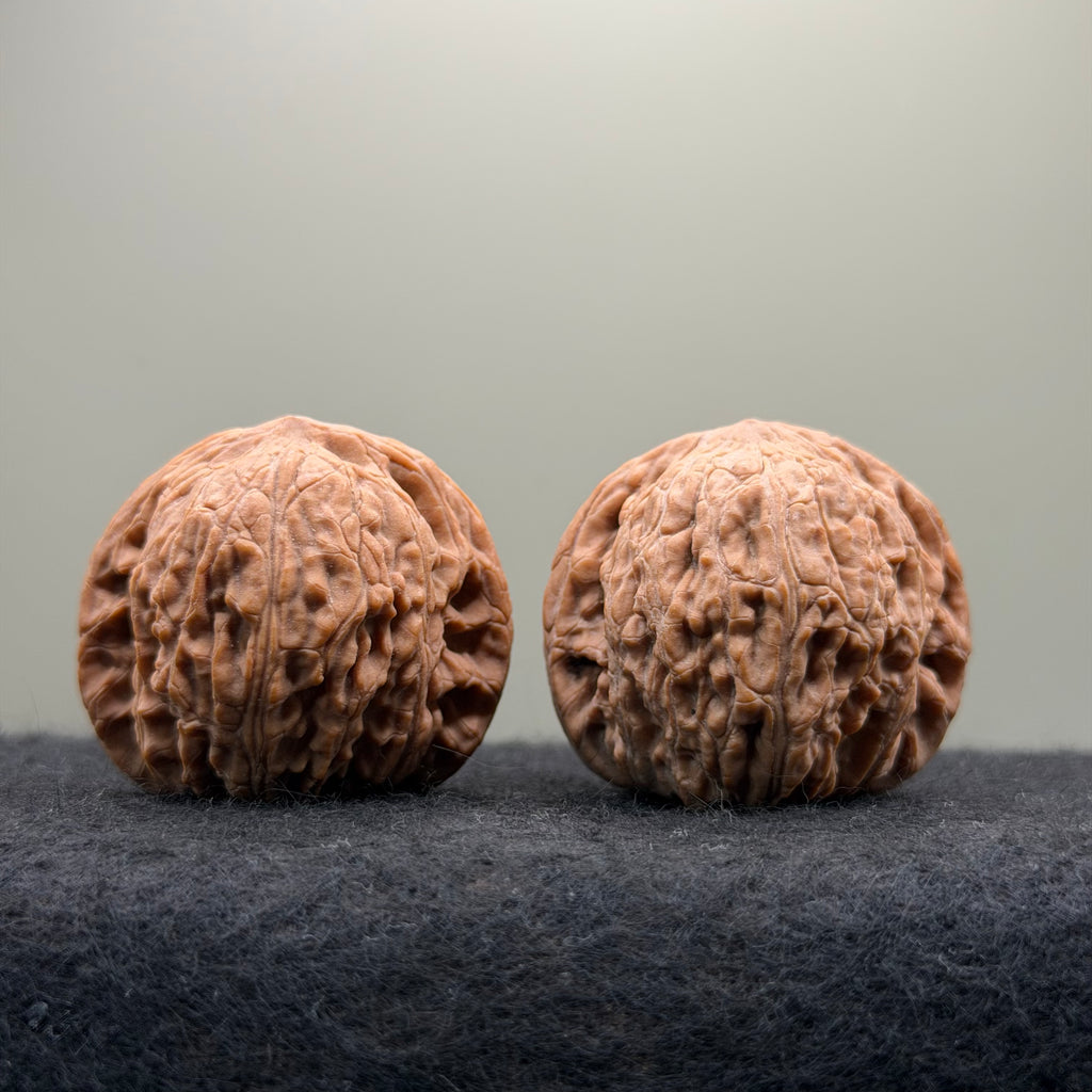 Loach Back Wenwan Walnut · 40mm · Natural · Premium Ritual