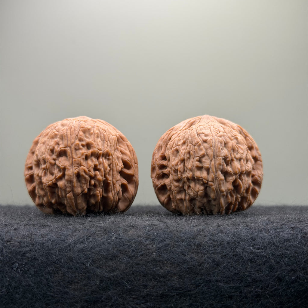 Loach Back Wenwan Walnut · 40mm · Natural · Premium Ritual