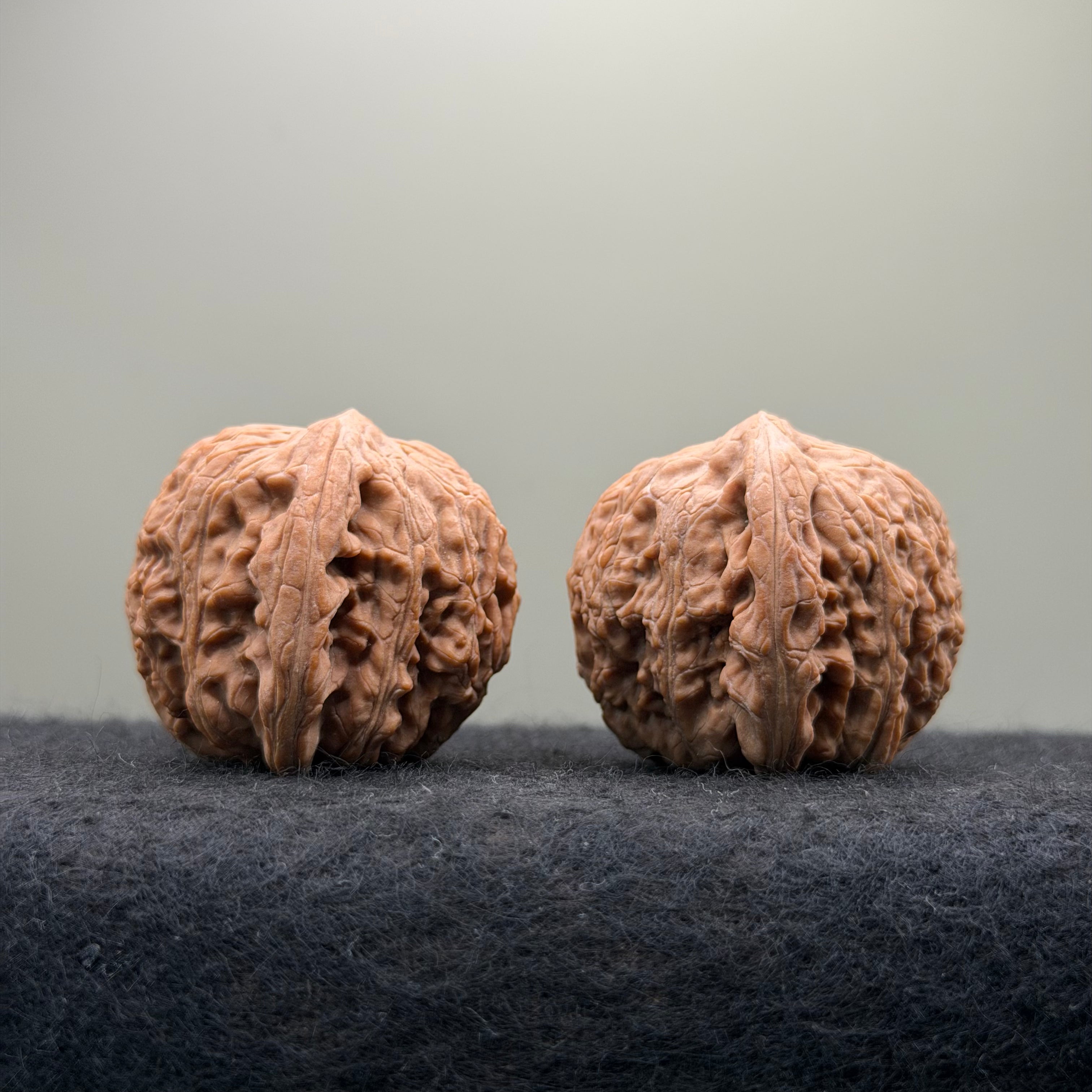 Loach Back Wenwan Walnut · 40mm · Natural · Premium Ritual
