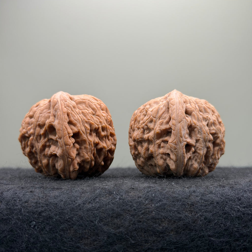 Loach Back Wenwan Walnut · 40mm · Natural · Premium Ritual