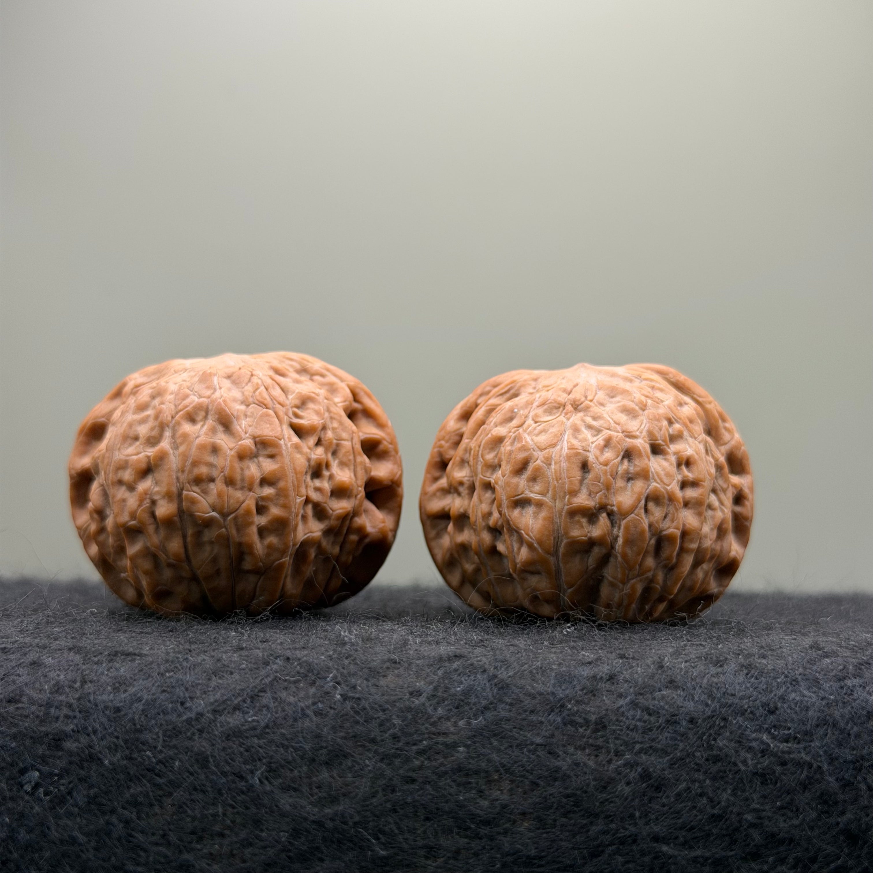 Hammer Sister Wenwan Walnut · 38mm · Natural · Premium Ritual