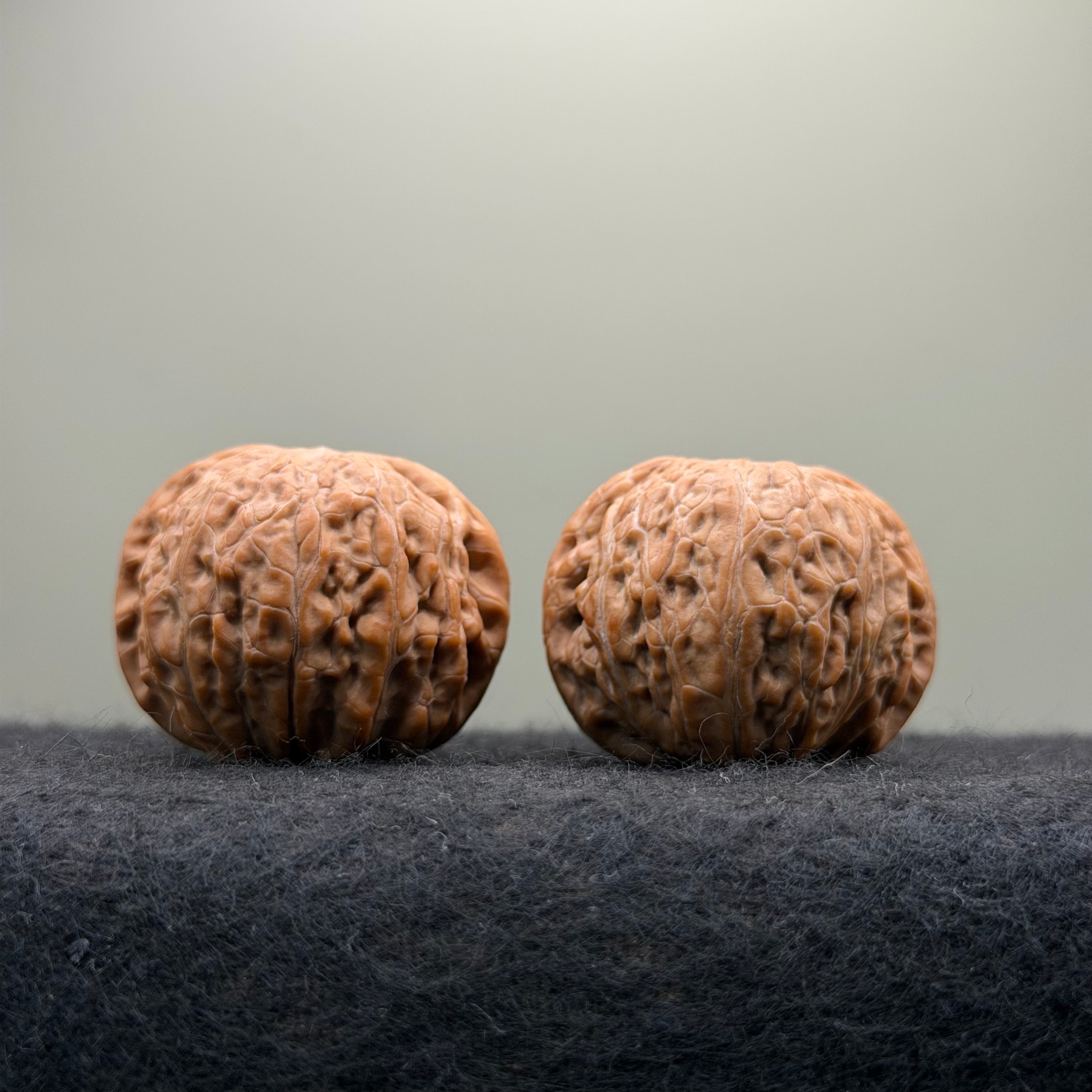 Hammer Sister Wenwan Walnut · 38mm · Natural · Premium Ritual