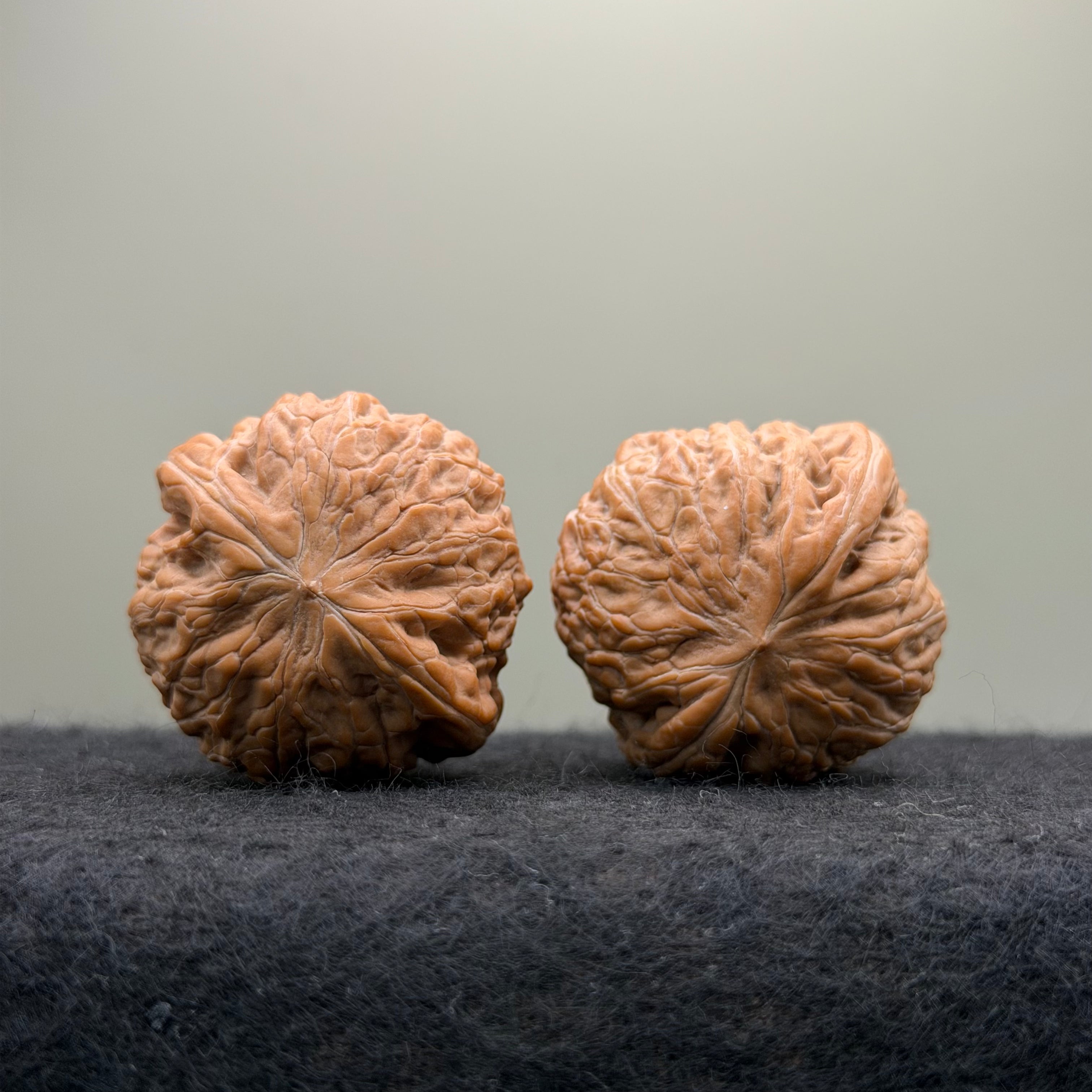 Hammer Sister Wenwan Walnut · 38mm · Natural · Premium Ritual